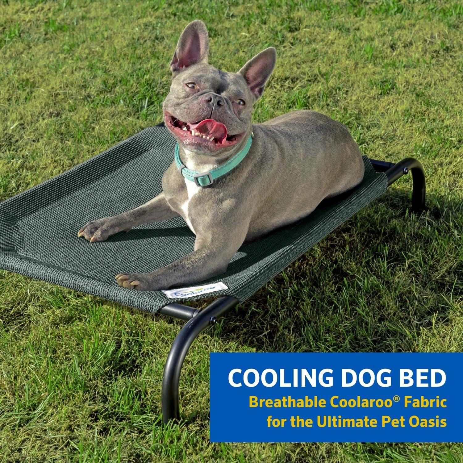 The Original Coolaroo Elevated Pet Dog Bed for Indoors & Outdoors, Medium, Gray