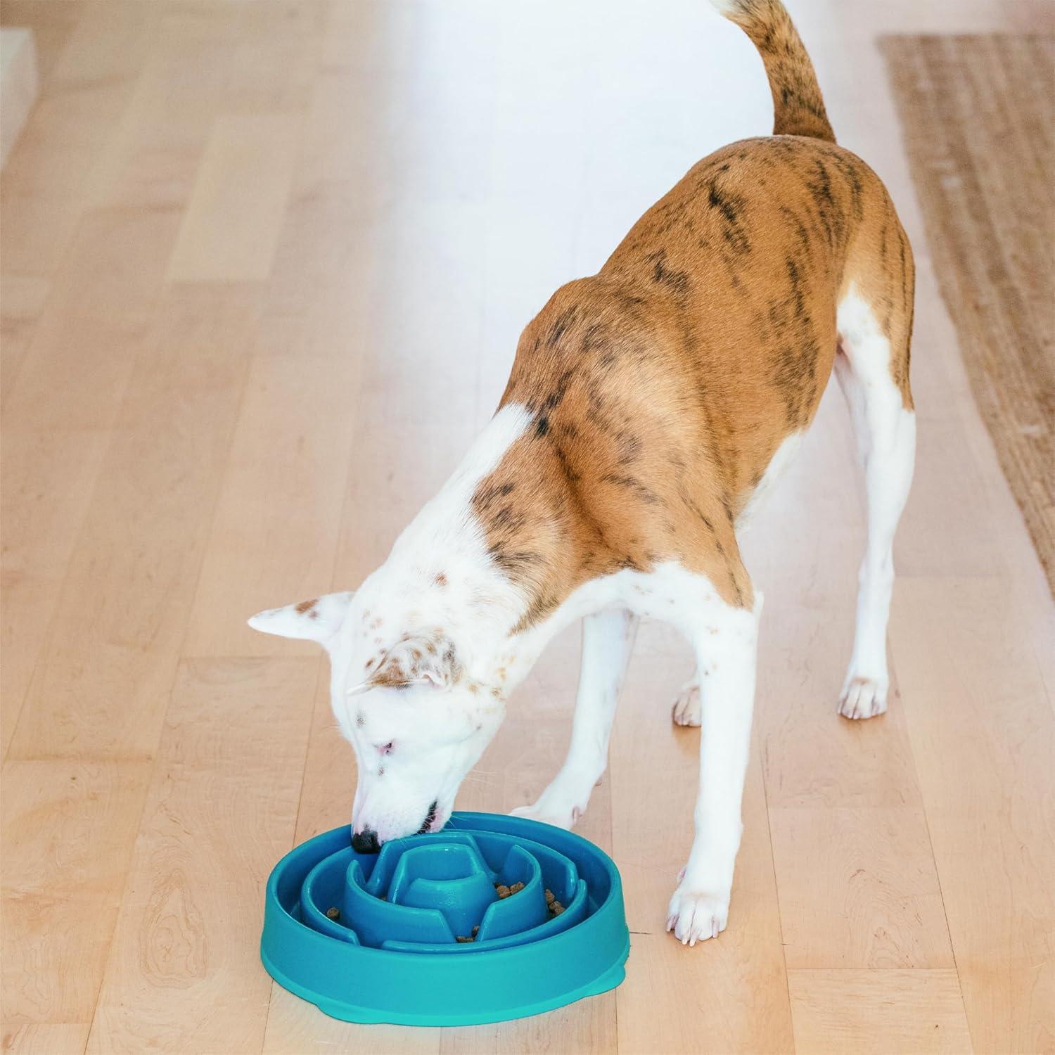Outward Hound Outward Hound Fun Feeder Slow Bowl, Slow Feeder Dog Bowl