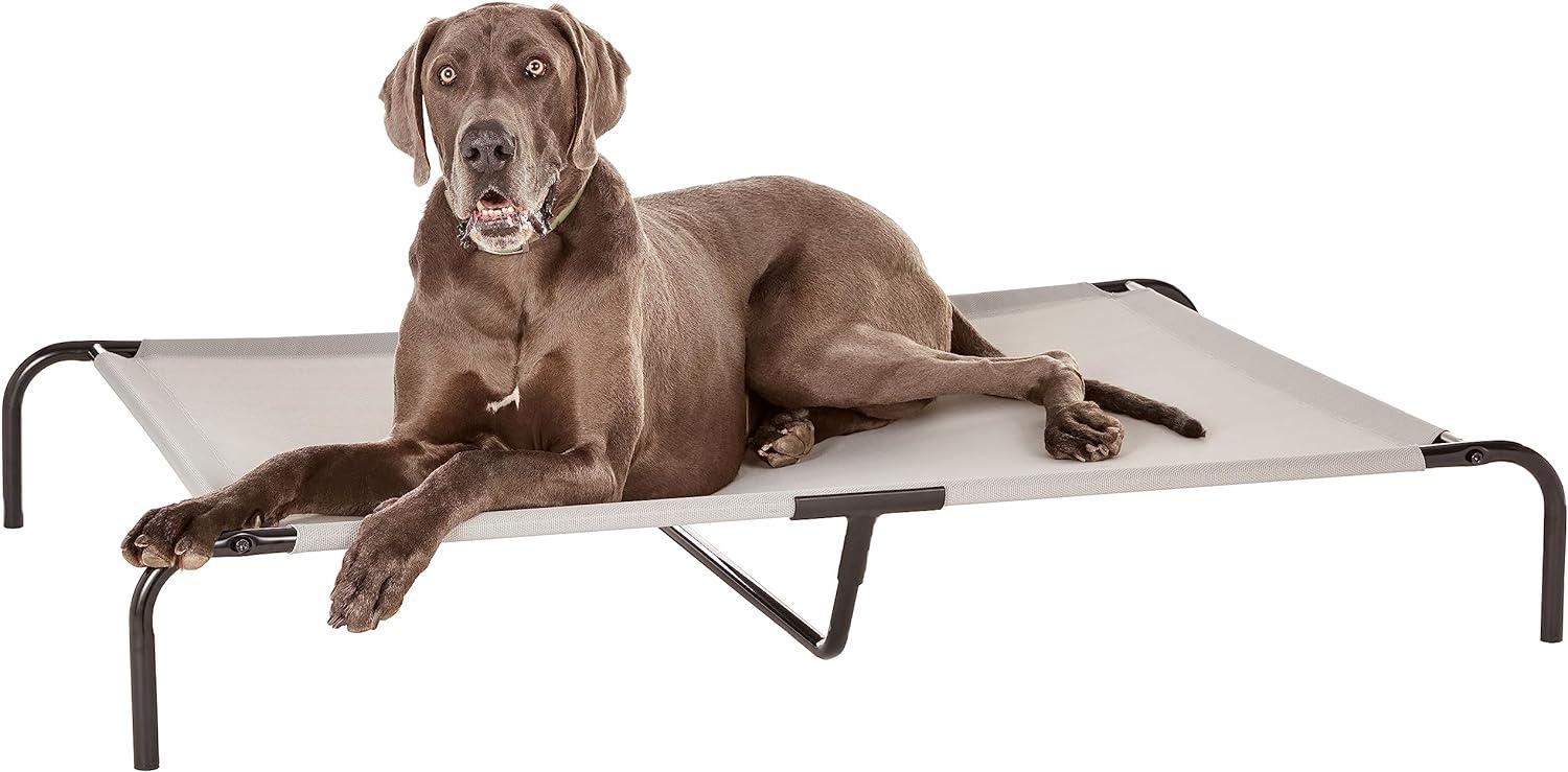 Tucker Murphy Pet™ Cooling Elevated Pet Bed For Dog, X-Large (60.1 X 37.1 X 8.9 Inches), 1 Count, Grey