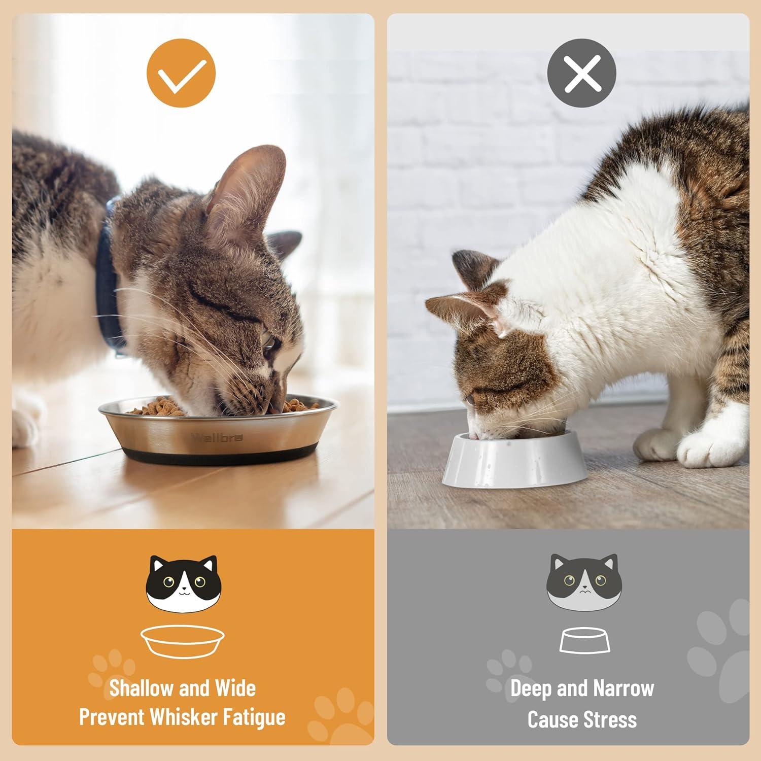 Wellbro Cat Bowls, 2 Pcs Stainless Steel Cat Bowls for Food and Water, Whisker Fatigue Shallow Non-Slip Cat Dishes Plates for Small Dog Puppies Cats