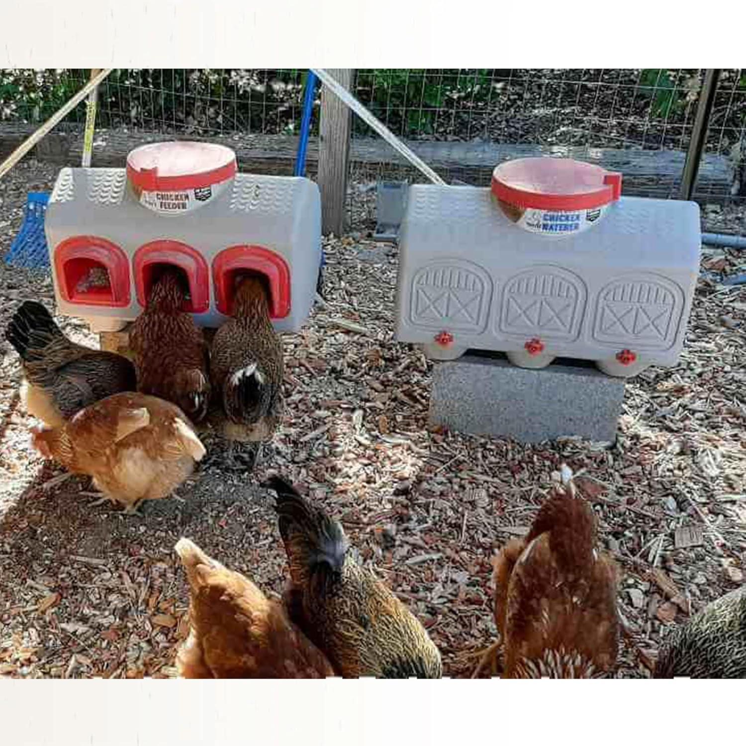 Large Beige Plastic Automatic Chicken Waterer with No Spill System