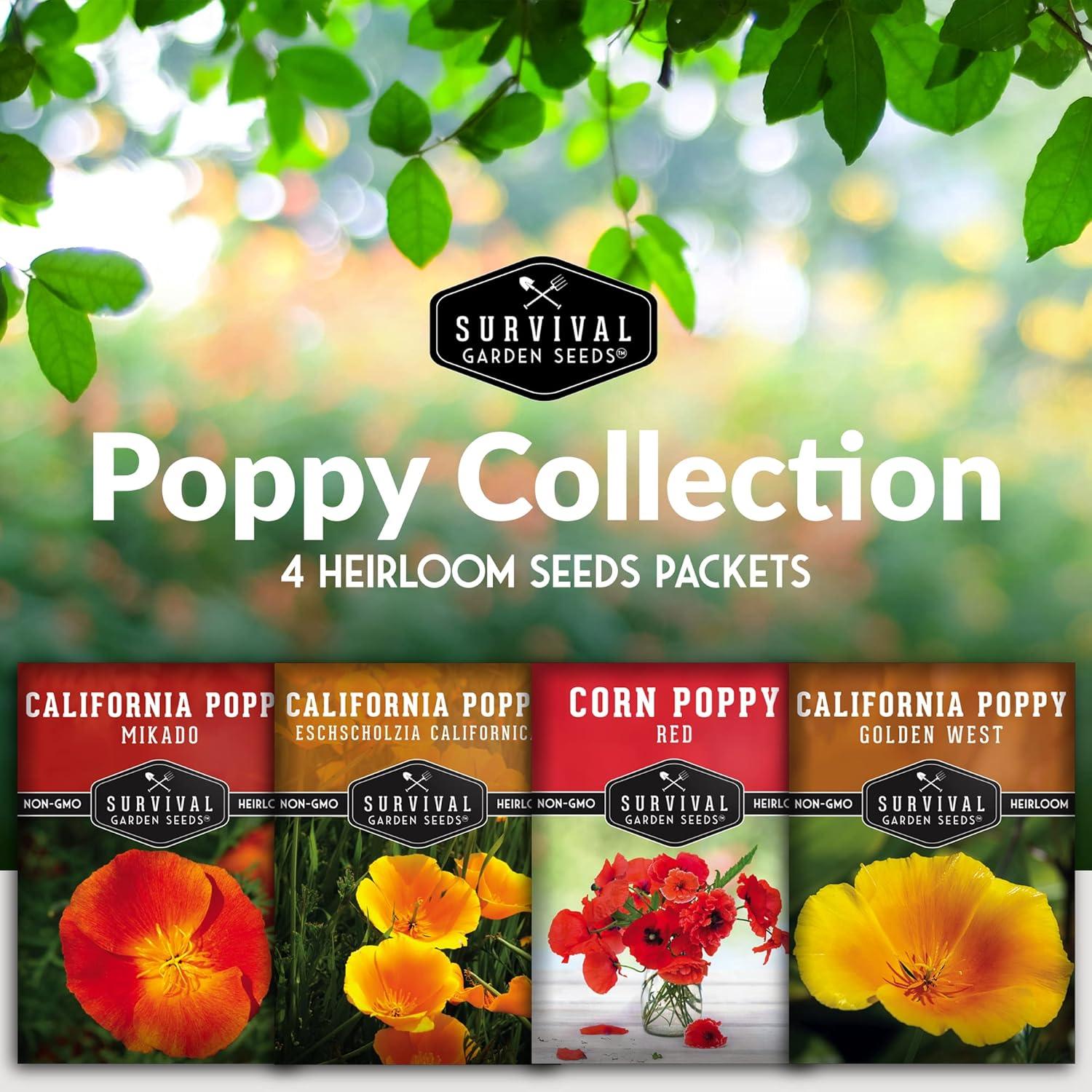 4 Packs Poppy Flower Seed - California, Golden West, Mikado, Red Corn - Full Sun Annual