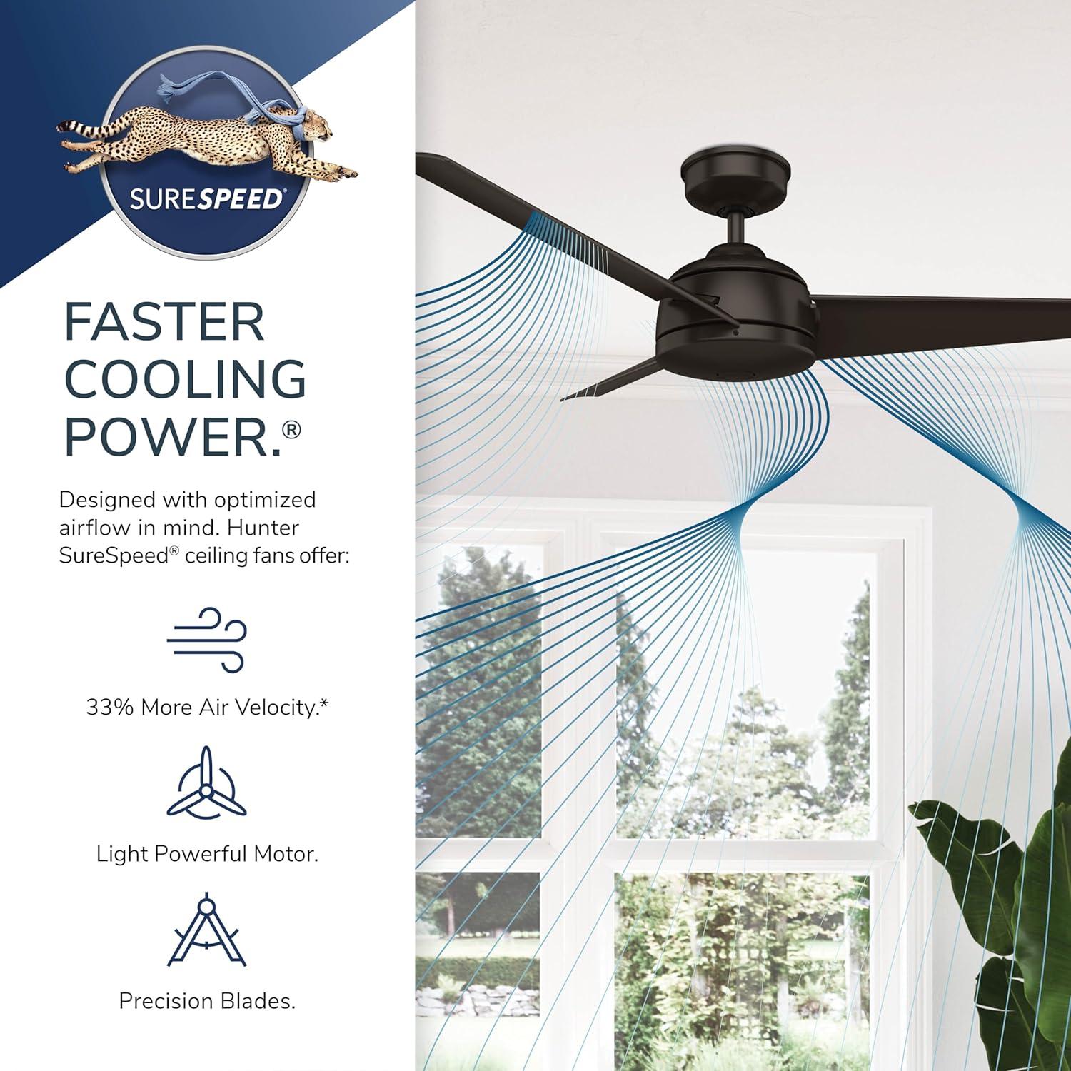 52" Cassius 3 - Blade Outdoor Standard Ceiling Fan with Pull Chain