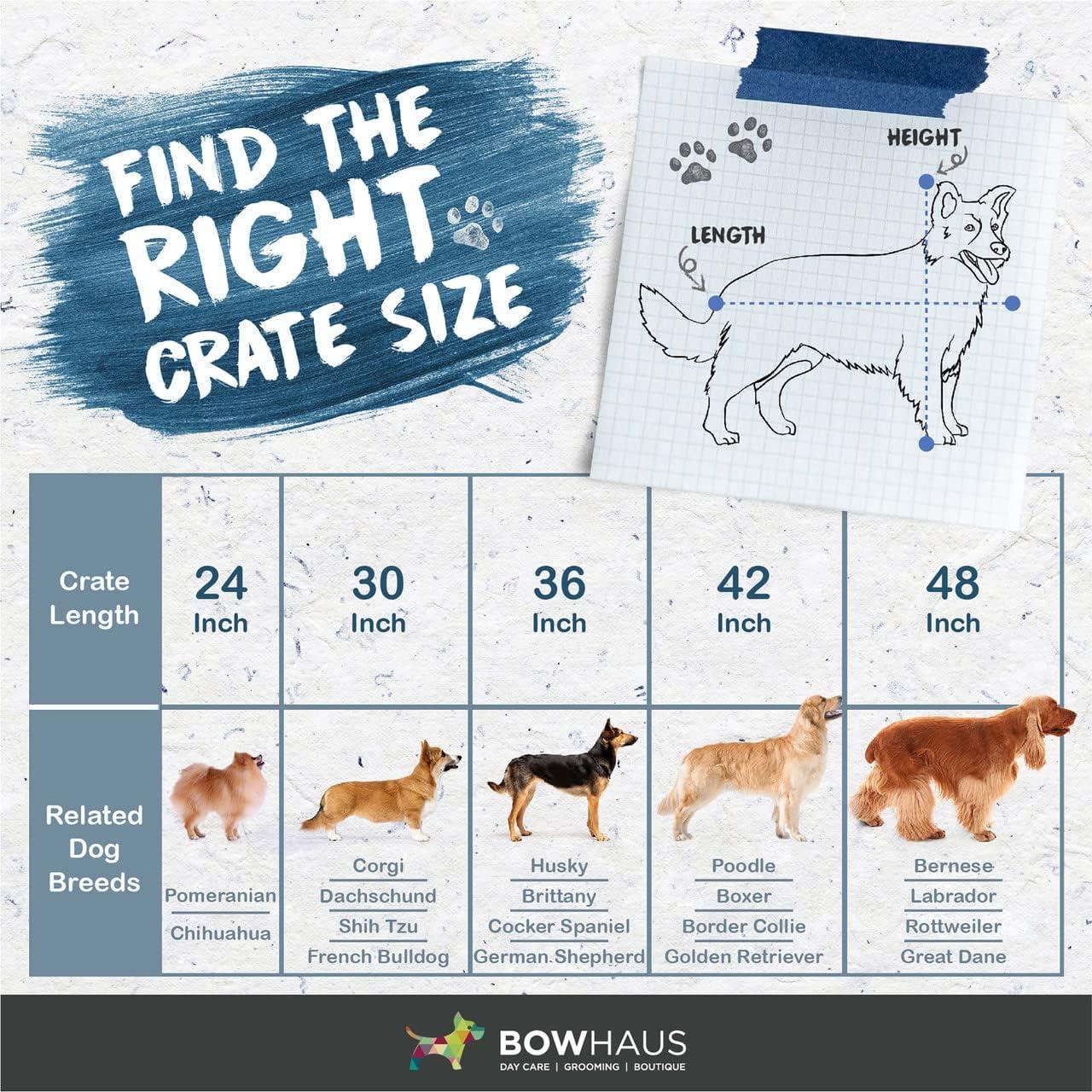 CAPHAUS Foldable Dog Crate Kennel w/Leak-Proof Pan & Divider Panel, Metal Crate, Small, Medium & Large Dog Crate Indoor Wire Cage, 42' w/Double Doors, Black