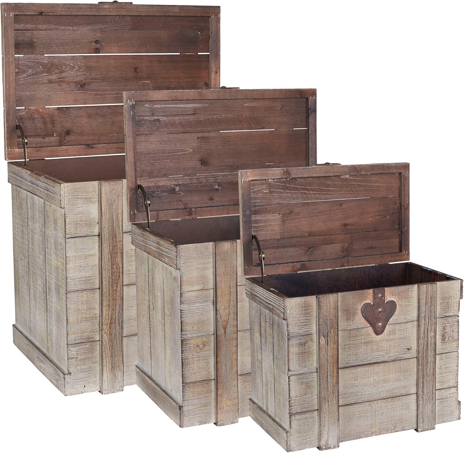 Charleigh 3 Piece Wood Accent Trunk