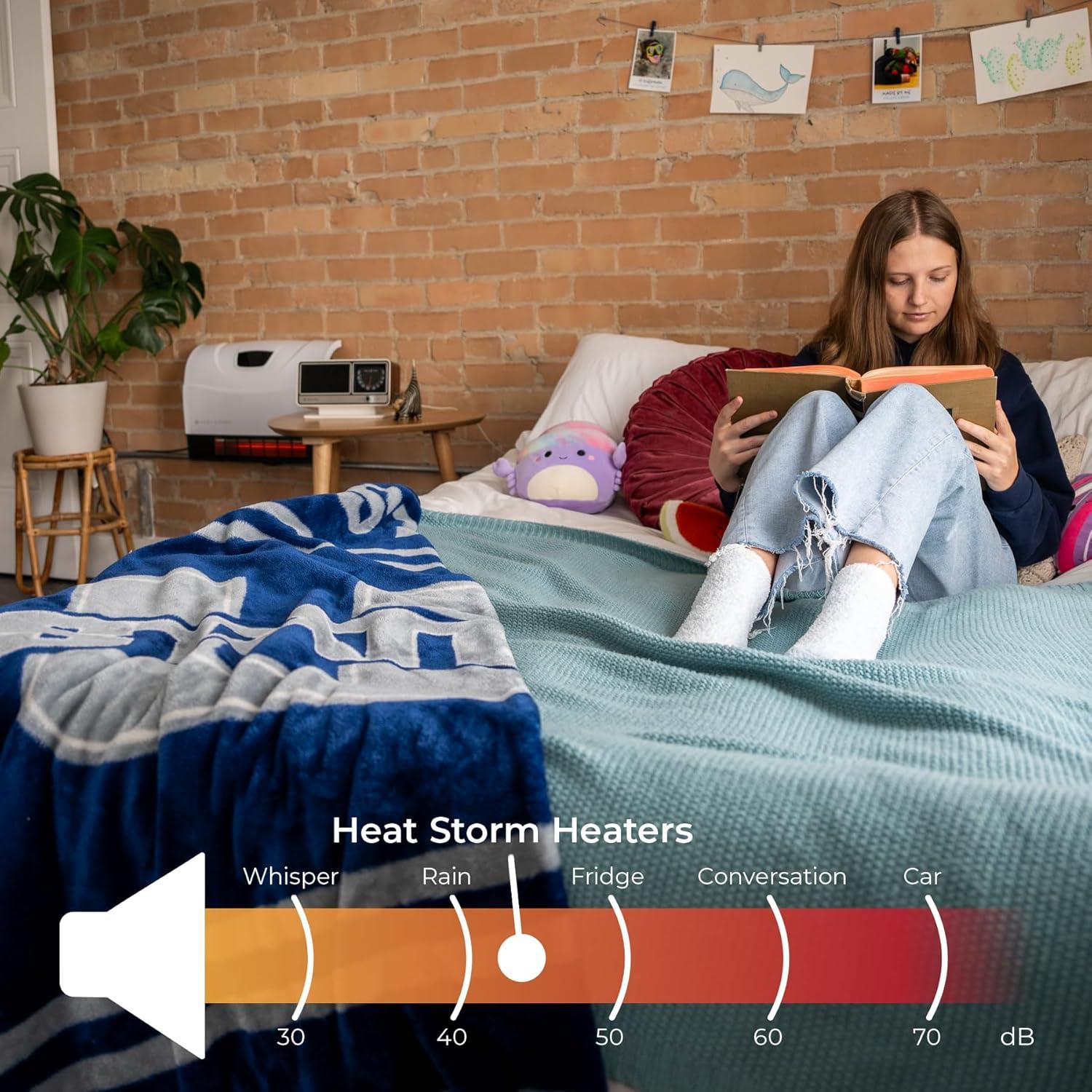 Accent Privacy Door Lever with Rosette