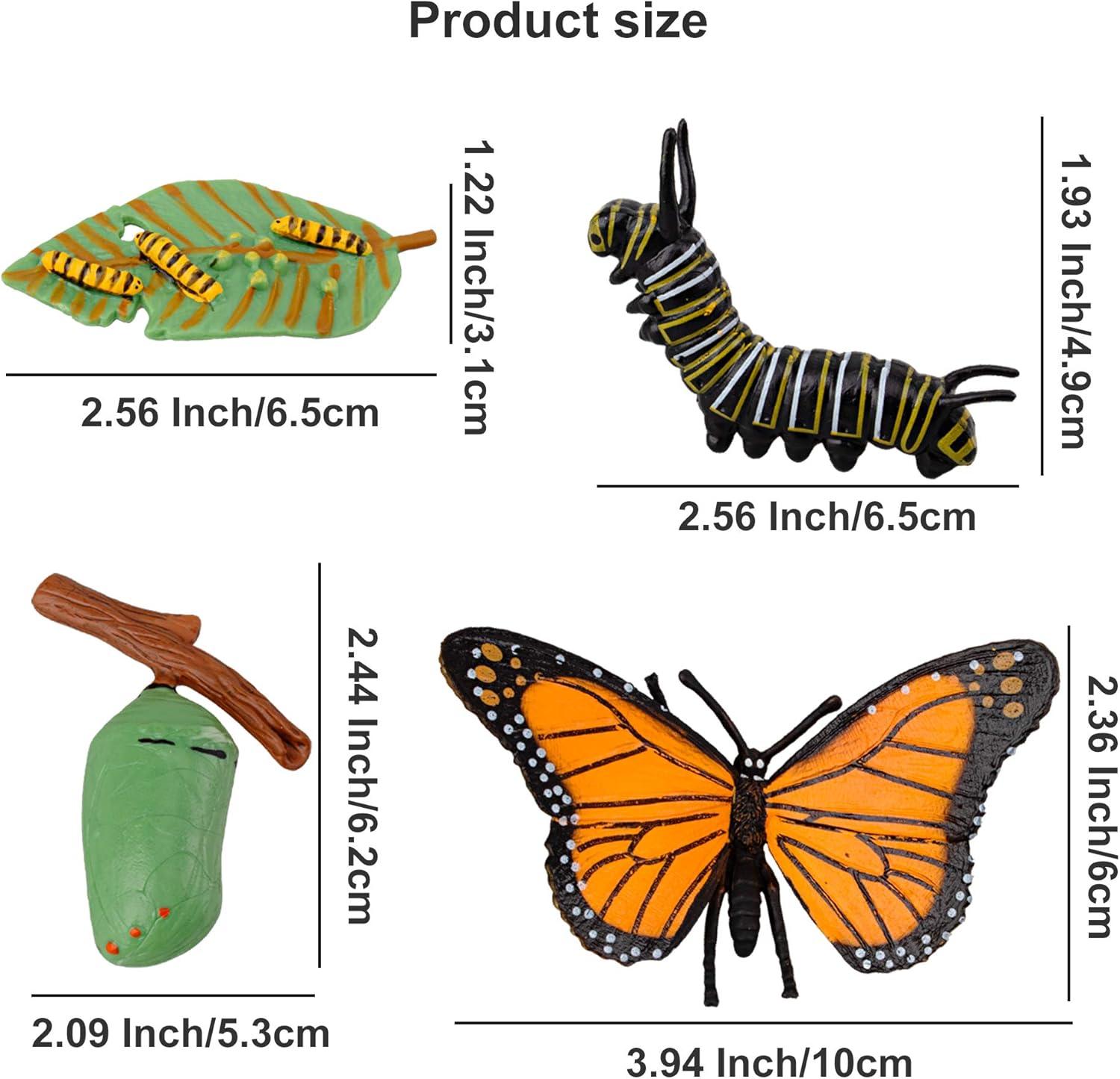 Toymany 16PCS Life Cycle of Goose White Swan Chicken Duck Farm Animals Figures, Plastic Safariology Growth Cycle Eggs Figurines Toy Kit School Project Cake Topper for Kids Toddlers