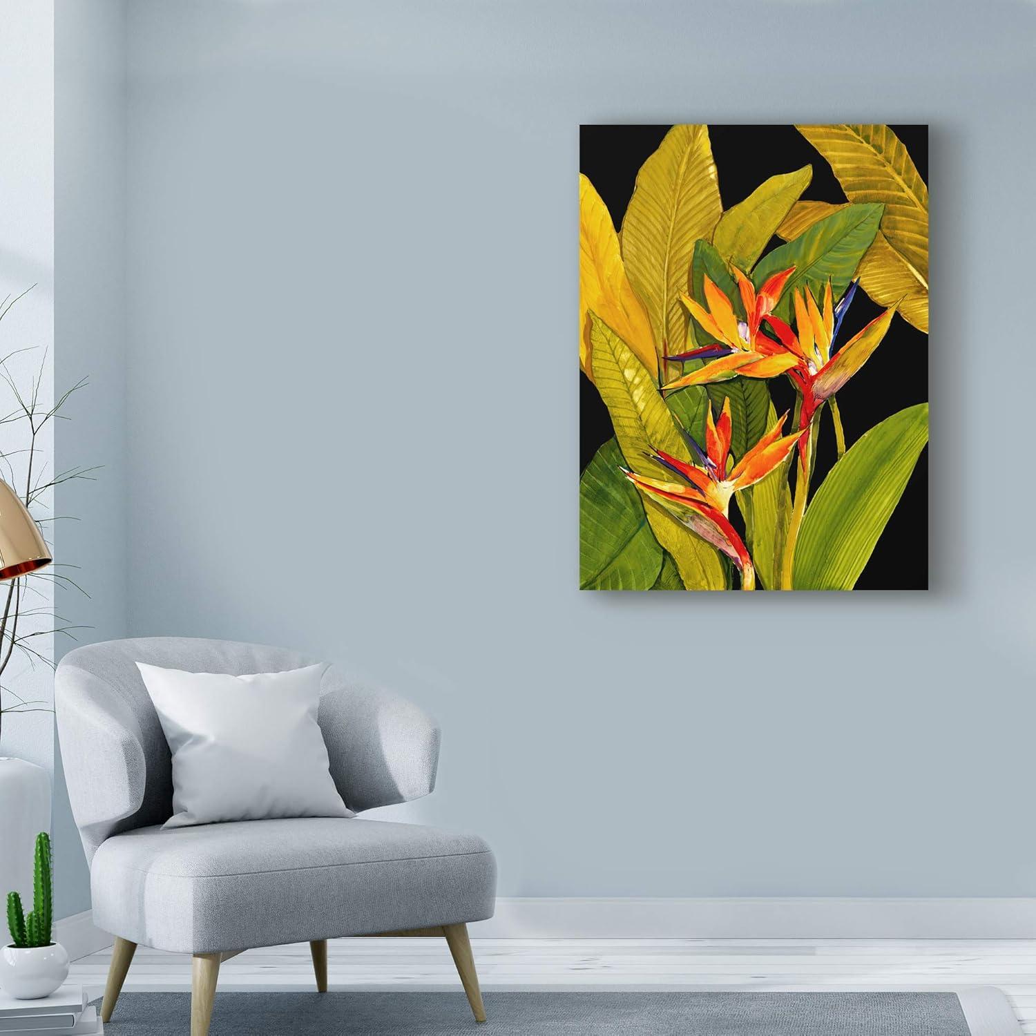 Tim Otoole 'Dramatic Bird Of Paradise' Canvas Art - 35x47