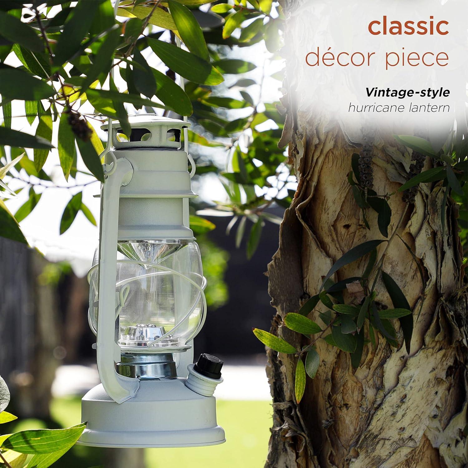 Alpine 10'' Battery Powered Integrated LED Outdoor Lantern