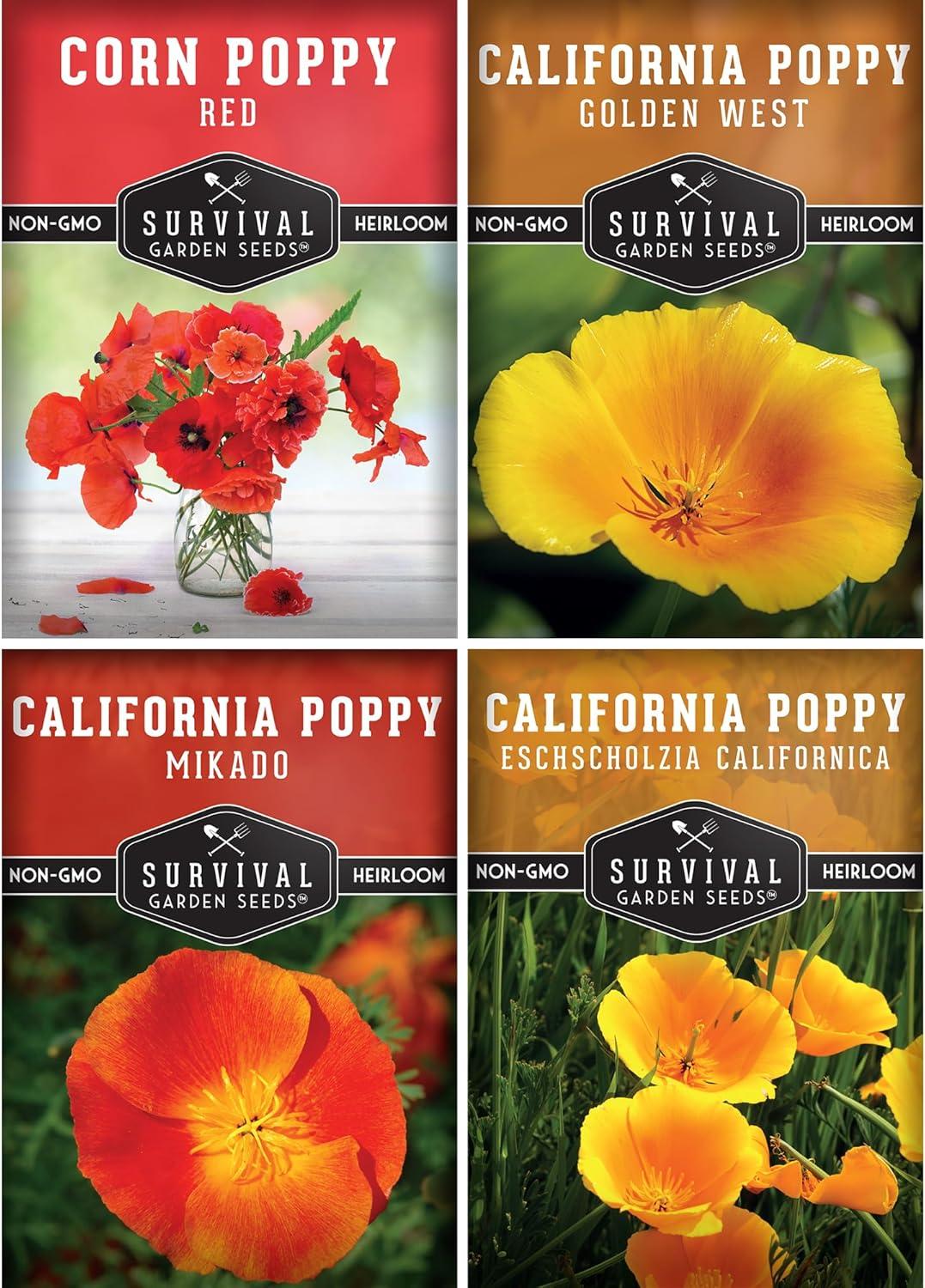 4 Packs Poppy Flower Seed - California, Golden West, Mikado, Red Corn - Full Sun Annual