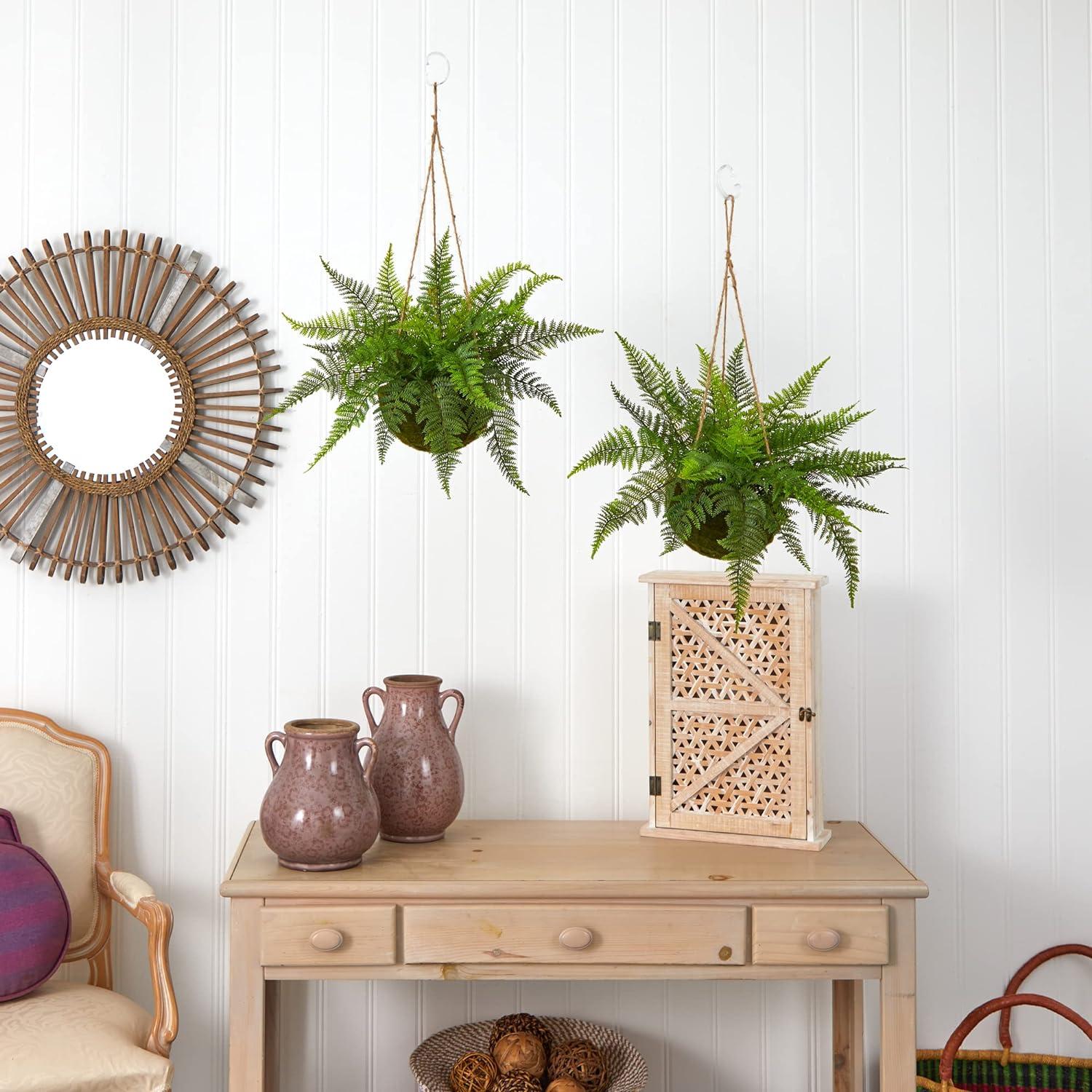 Evergreen Fern Duo in Mossy Plastic Hanging Baskets for Indoor/Outdoor