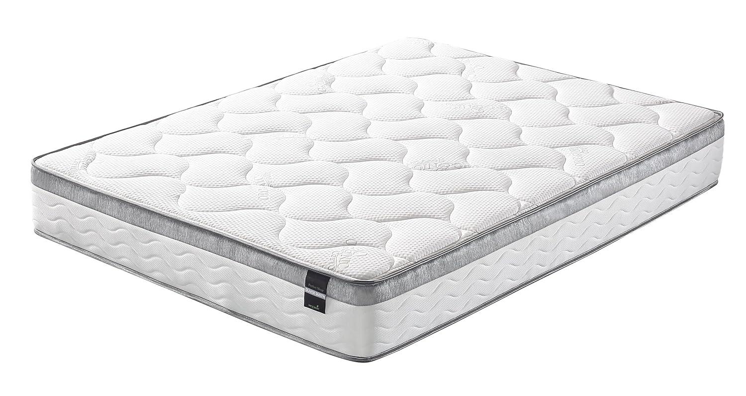 Smith & Oliver Oliver Smith - Organic Cotton - 10 Inch - Perfect Sleep - Comfort Plush Euro Pillow Top - Cool Memory Foam & Pocket Spring Mattress - Green Foam Certified - Queen