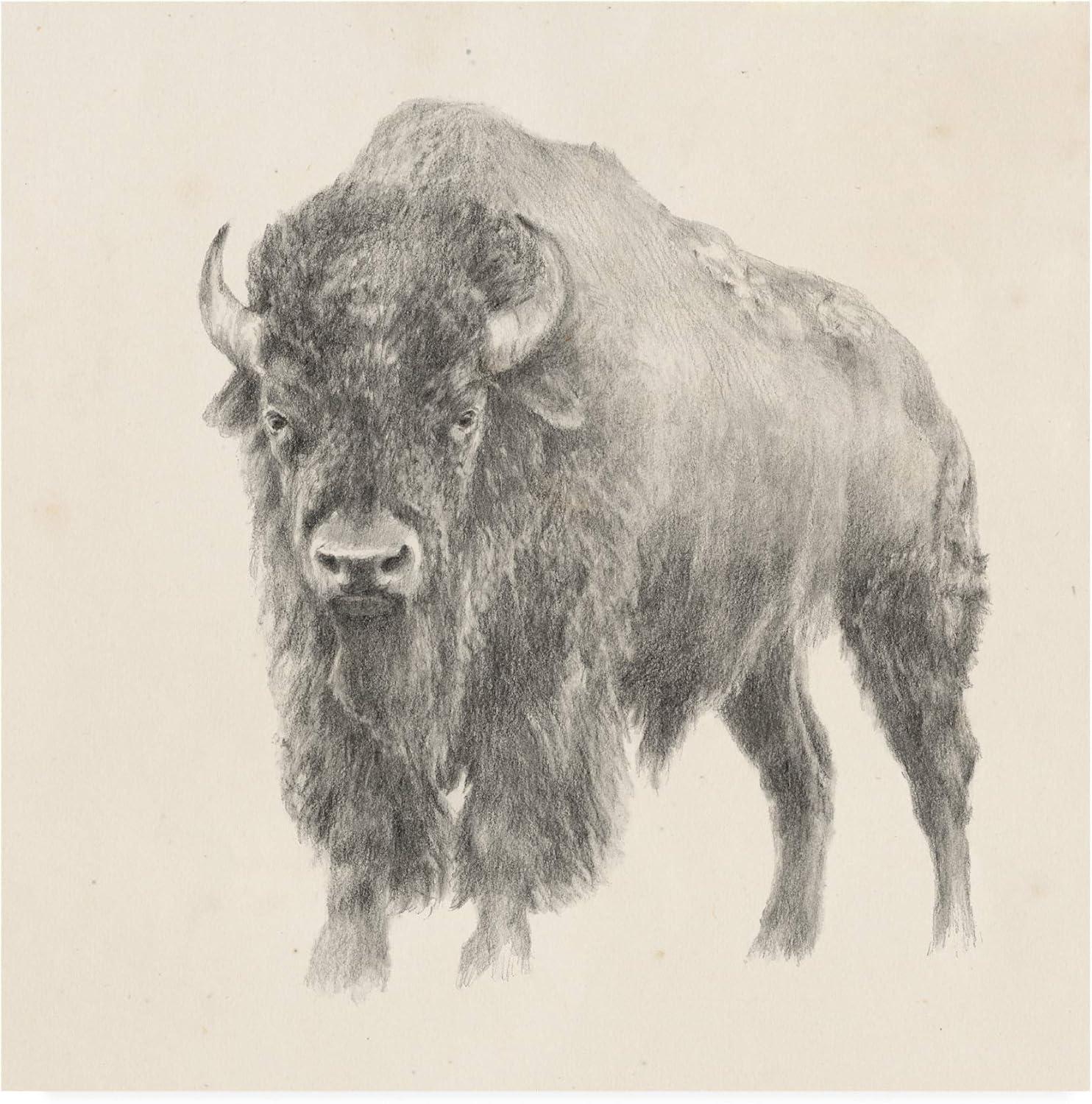 Ethan Harper 18x18 Gray Western Bison Canvas Art