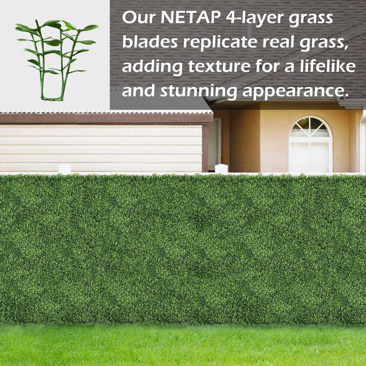 Tianqi Artificial Boxwood Plant Hedge, Green Grass Backdrop, Indoor and Outdoor Use (Set of 12)