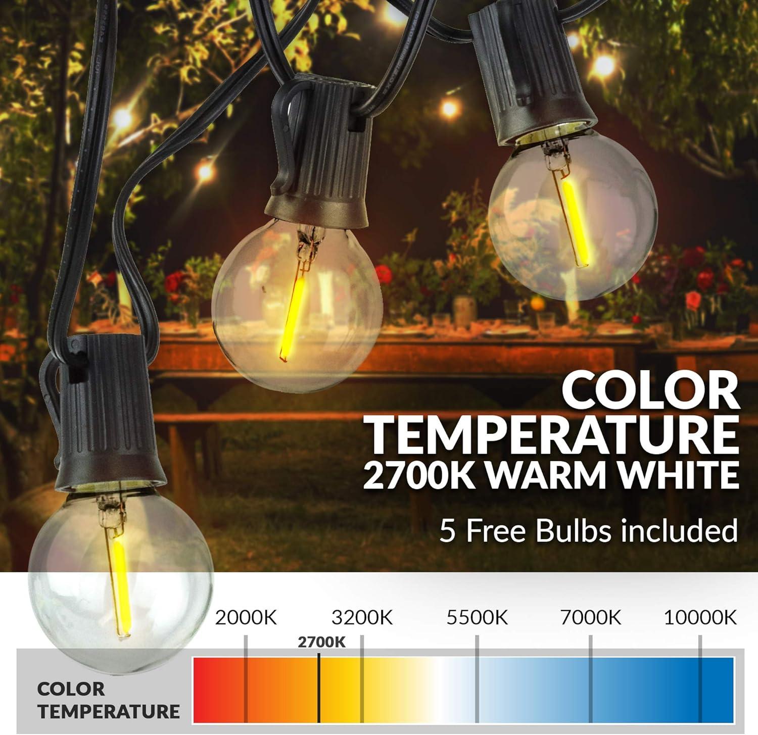 Indoor/Outdoor 50 ft. Plug-In Globe Bulbs Party LED Outdoor String Lights with 55 LED G40 Bulbs Included (5-Free Bulbs)