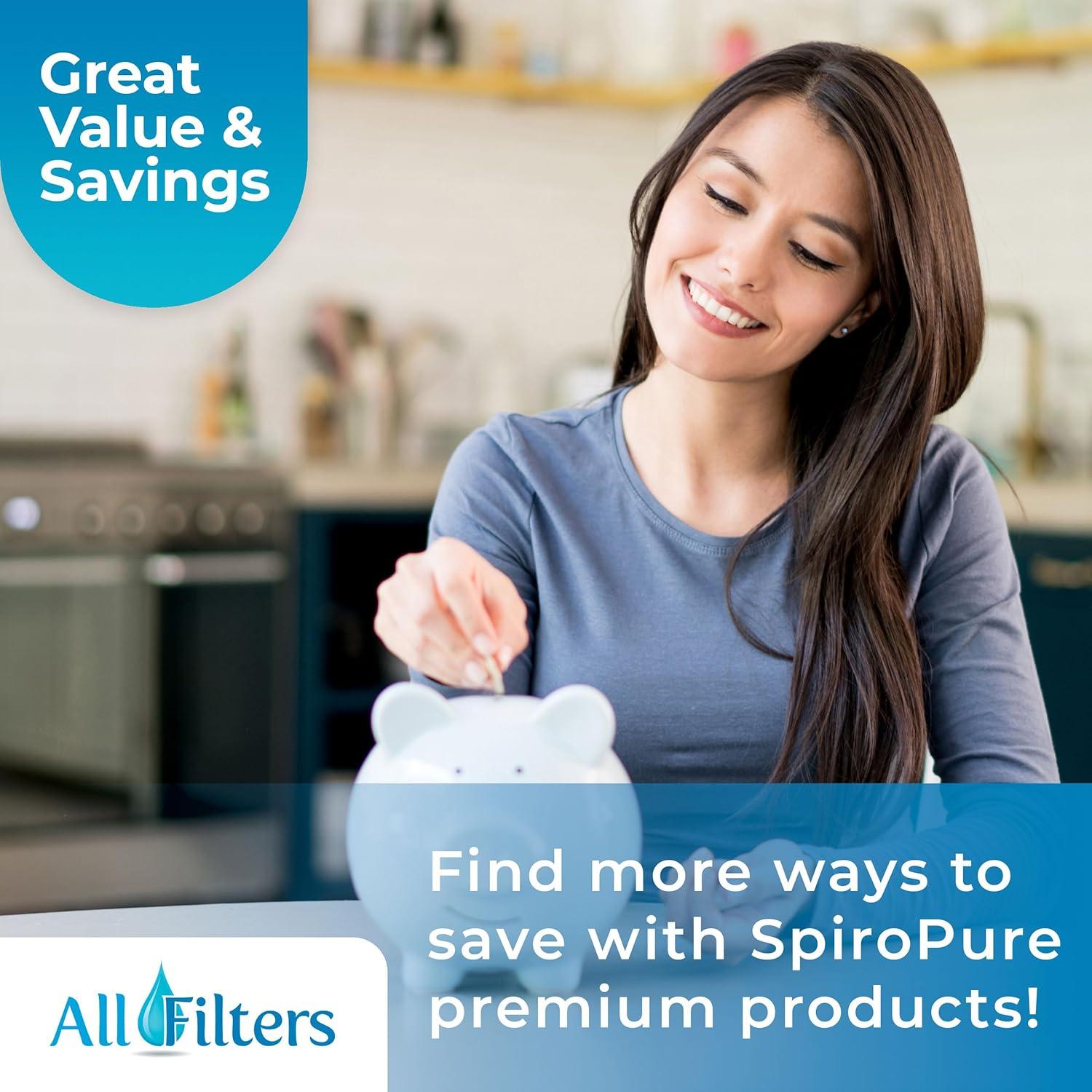 SpiroPure SP-PS-6541-SET Hot Tub Spa Pool Replacement Water Filter Set