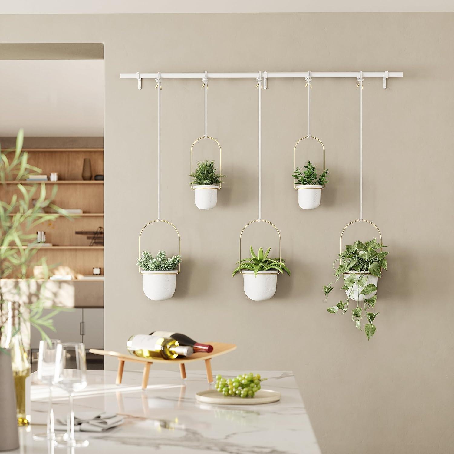 Umbra Hanging Planter