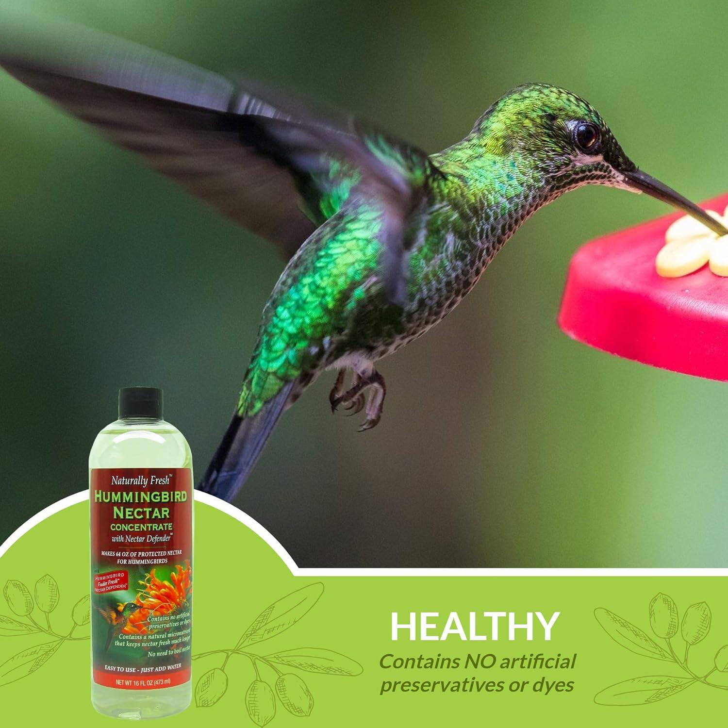 Naturally Fresh Hummingbird Nectar Liquid Concentrate  with Nectar Defender - Lasts Longer In Hummingbird Feeders - Makes 64 ounces of Clear Nectar
