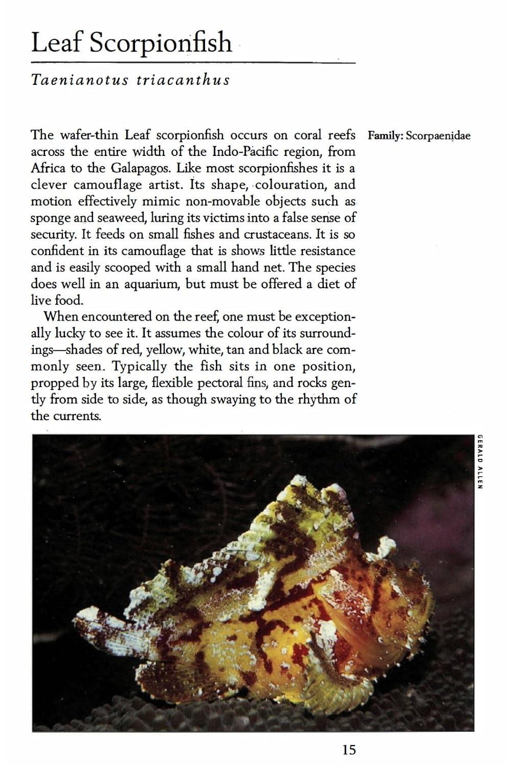 Tropical Coral Reef Fishes - (Handy Pocket Guides) by Allen (Paperback)