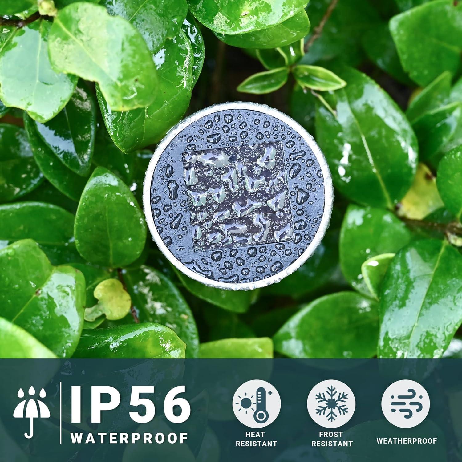 SOLPEX 12 Pack Solar Outdoor Lights Pathway, Stainless Steel Solar Lights Outdoor Waterproof,LED Landscape Lighting Solar Walkway Lights for Landscape/Patio/Lawn/Yard/Driveway-Cold White
