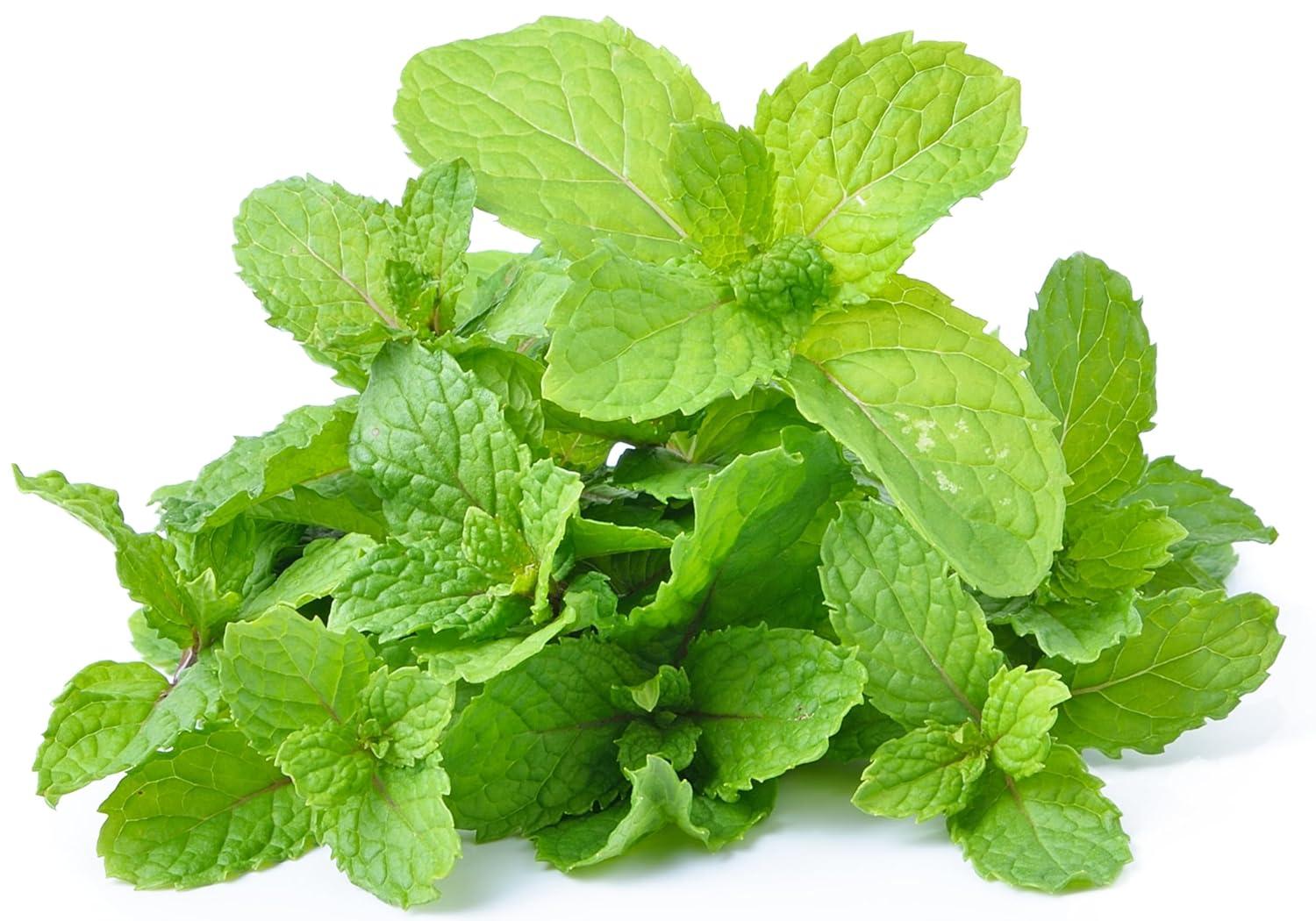 Fresh Mint (Pudina) Leaves - 1.5-2oz - Rani Brand Authentic Indian Products
