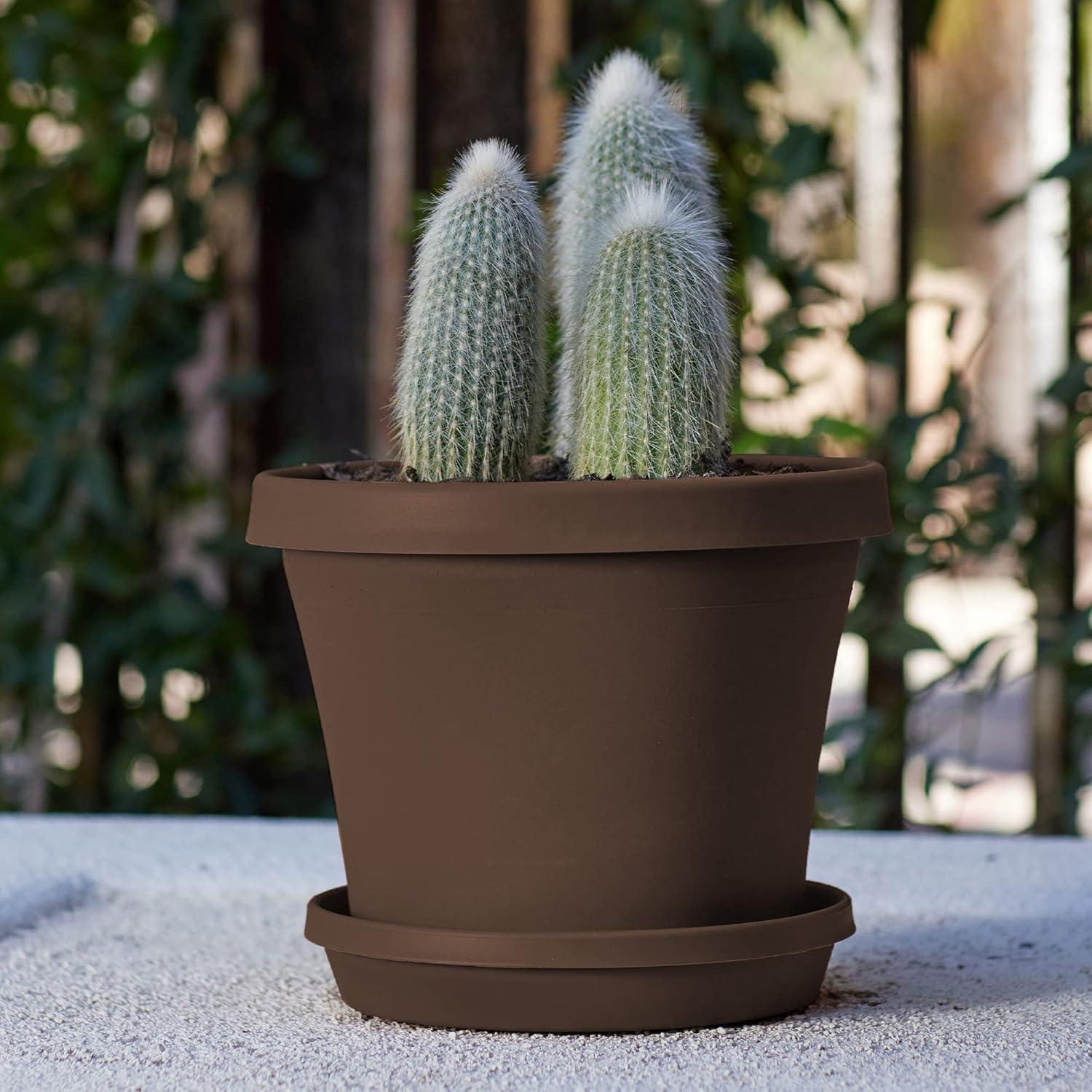 Pot Planter