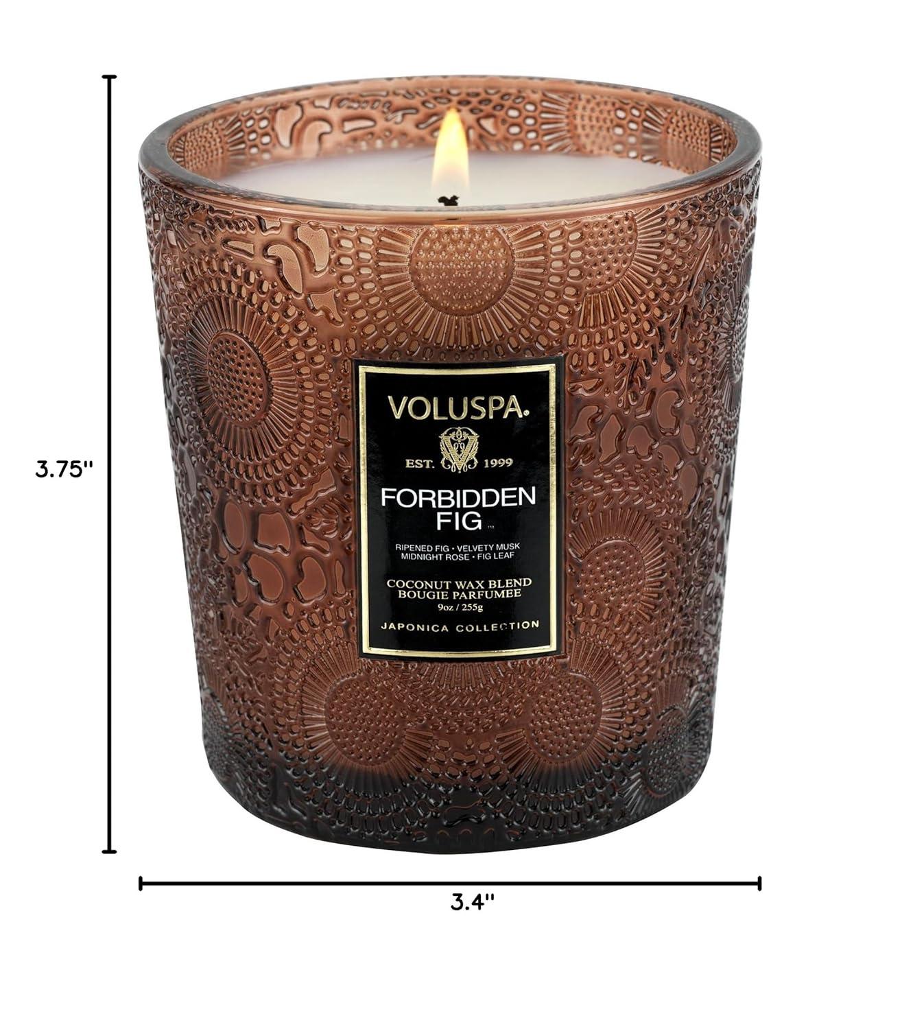 Forbidden Fig Scented Jar Candle with Coconut Wax Blend