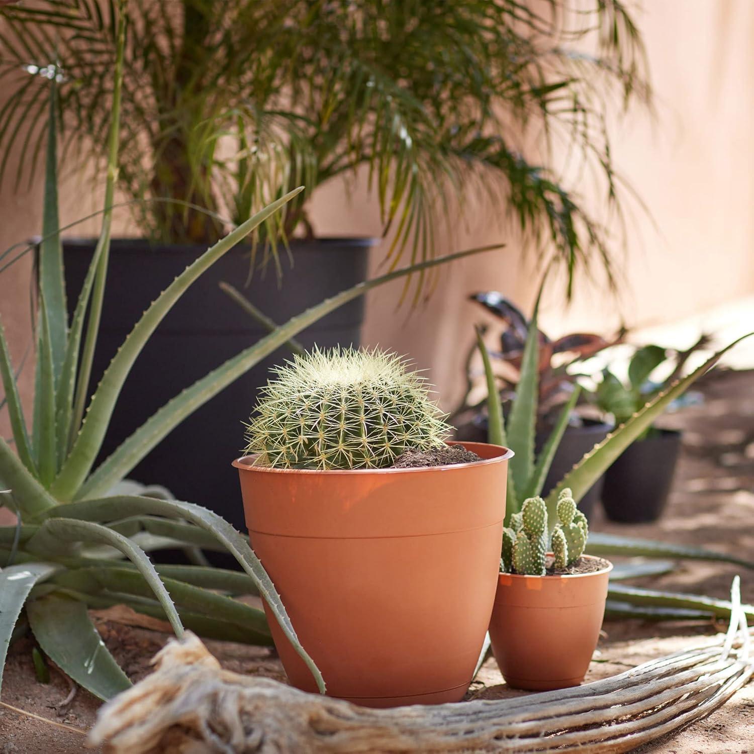 Bloem Dayton Planter With Saucer: 12" - Terra Cotta - 100% Recycled Plastic Pot, Removable Saucer, Elevated Feet, For Indoor and Outdoor Use, Gardening, 3 Gallon Capacity