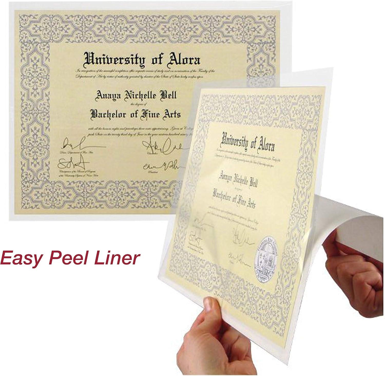 EnvyPak Bolsillos Superiores para Carpetas de Carga de 8,5 x 11 Pulgadas, Transparentes, 50 Unidades