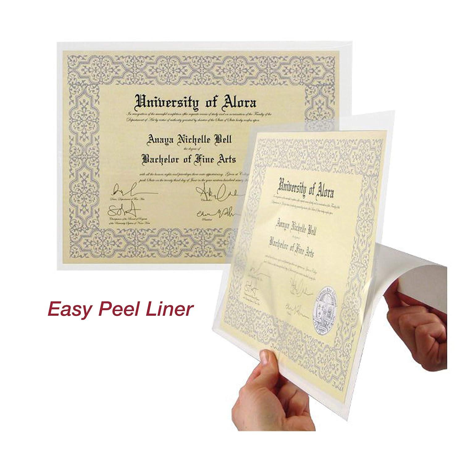 EnvyPak Bolsillos Superiores para Carpetas de Carga de 8,5 x 11 Pulgadas, Transparentes, 50 Unidades