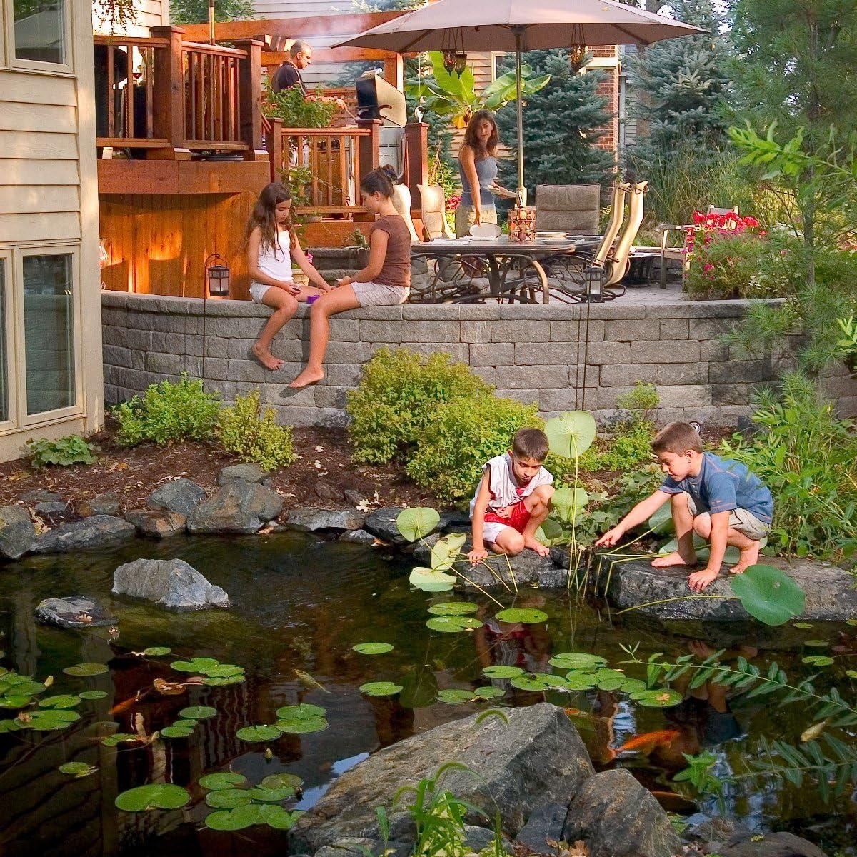 Aquascape MAINTAIN For Ponds No Power Source Required / Manual Algae Control