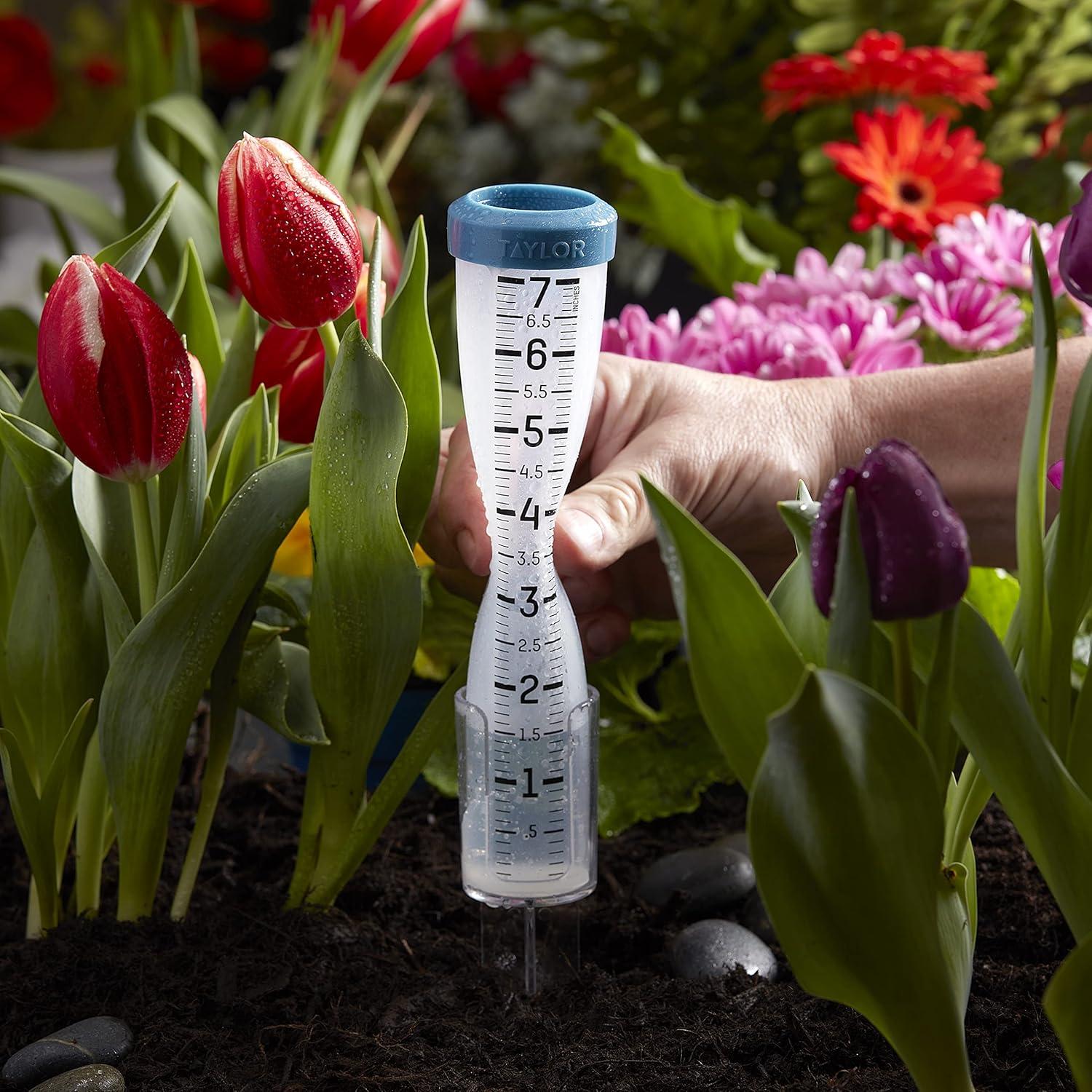 Taylor® Precision Products 7-In. Capacity Silicone Rain Gauge in Clear