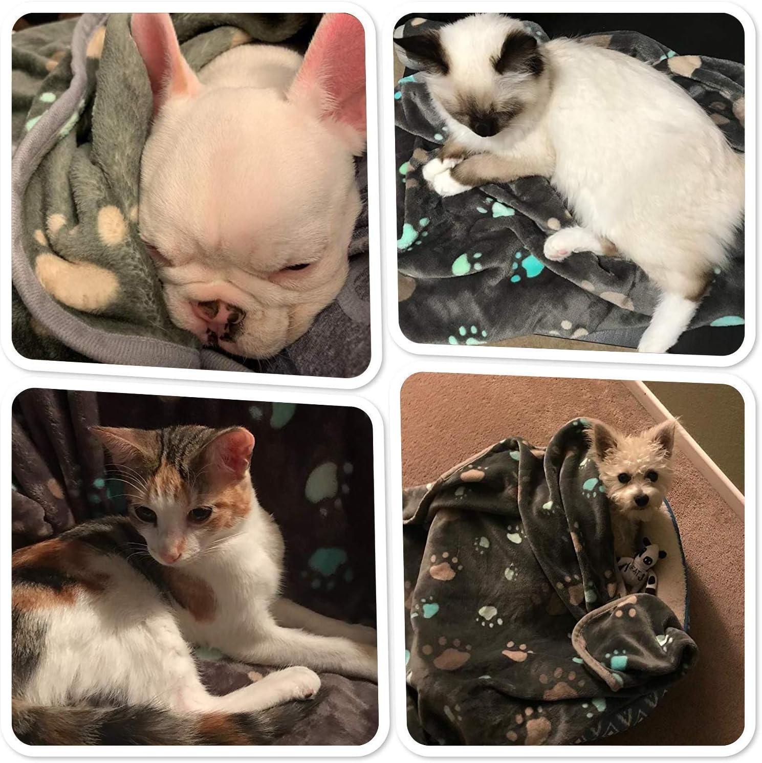 Allisandro Animal Print Outdoor Pet Blanket