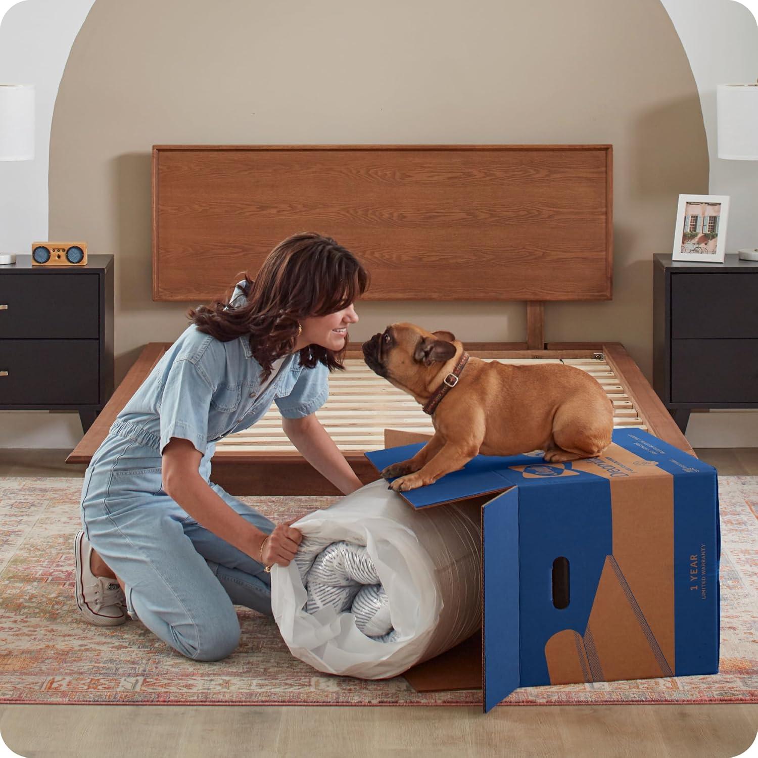 Sealy Sealy Dreamlife 8” Medium-Firm Foam Mattress-in-a-Box