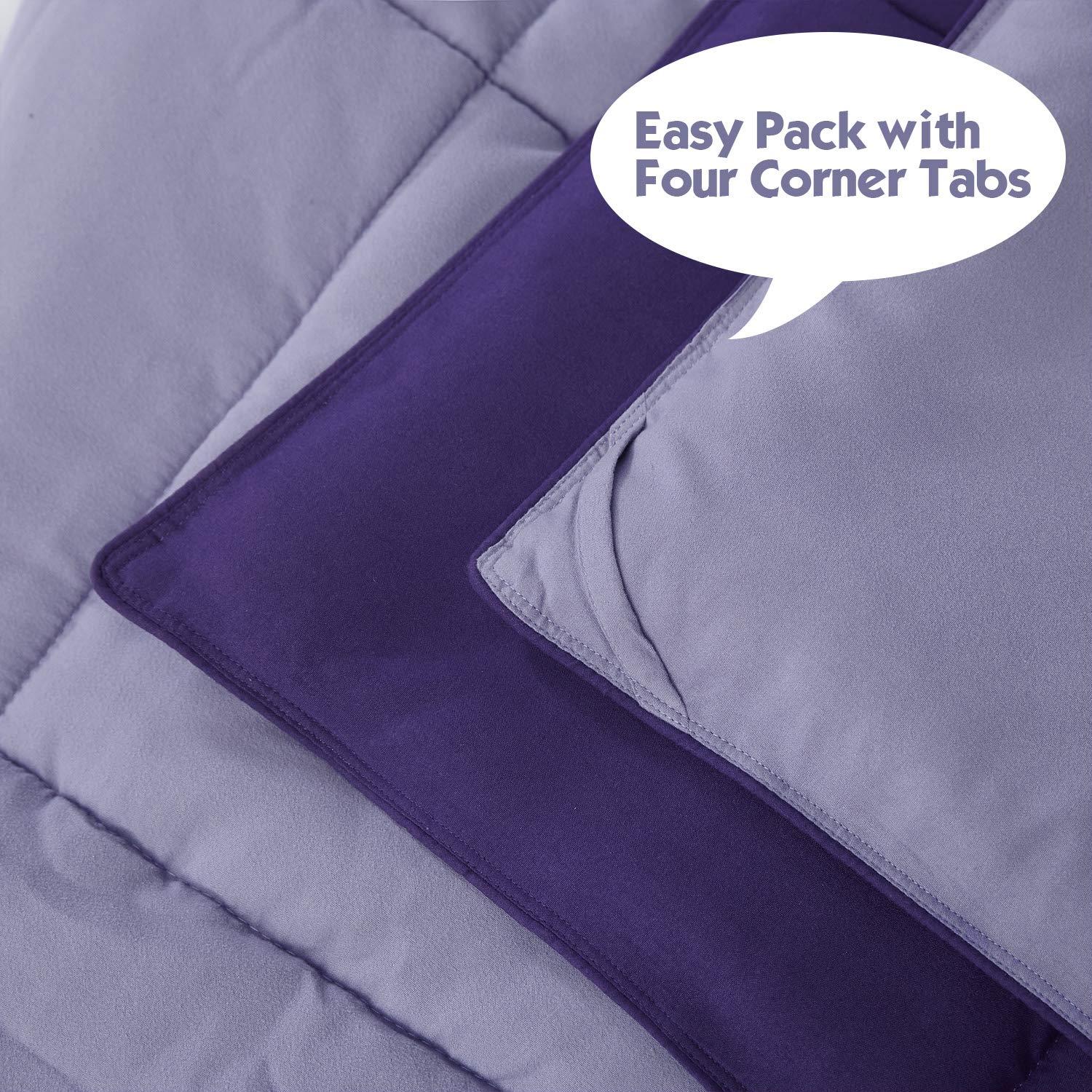 3pc Comforter Set - All Season Reversible Down Alternative Comforter with Two Shams - Quilted Duvet Insert with Corner Tabs - Box Stitched Blanket - Breathable, Soft, Fluffy