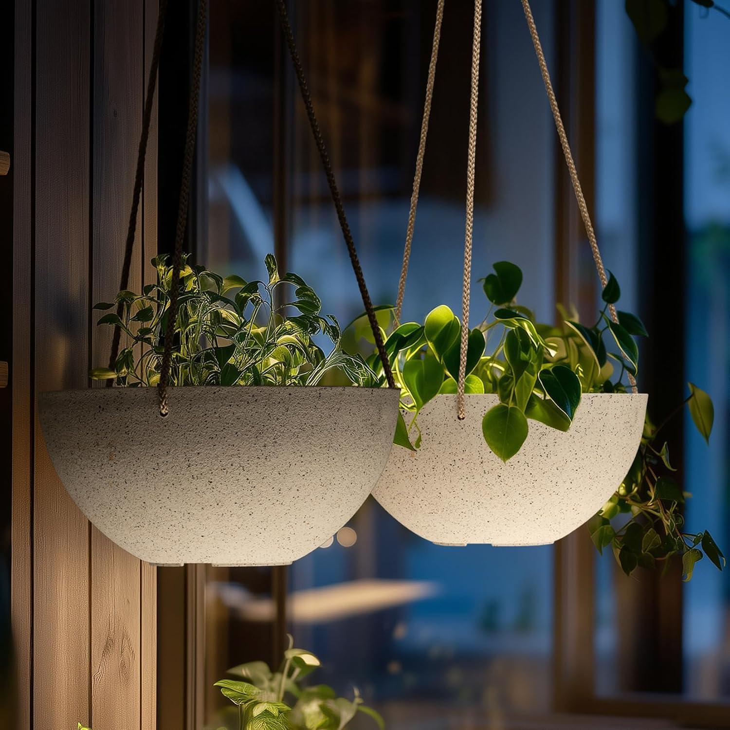 Boxdale Hanging Planter - Set of 2 (Set of 2)
