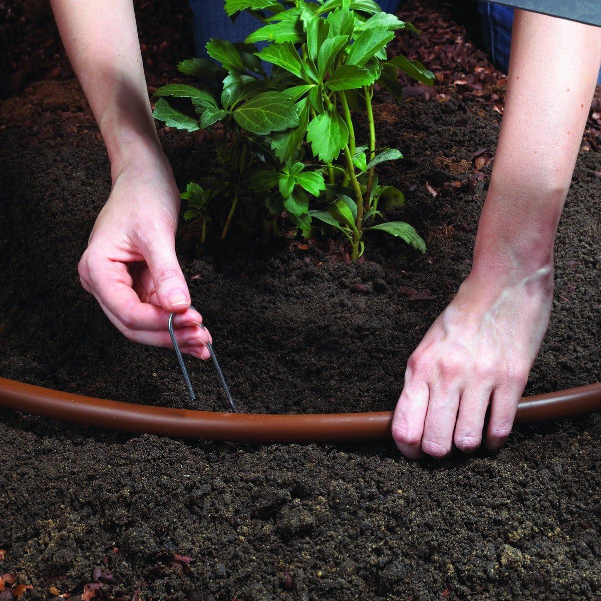 Raindrip Drip irrigation tree and shrub kit