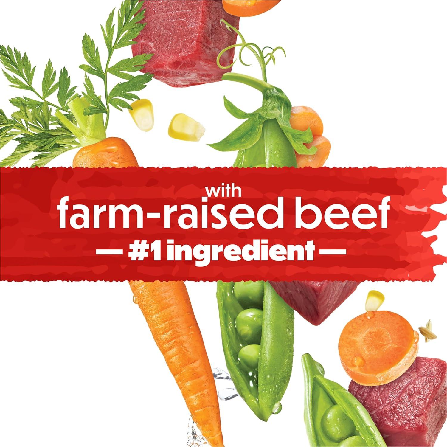 Purina Beneful Originals Real Beef Flavor Dry Dog Food - 3.5lbs