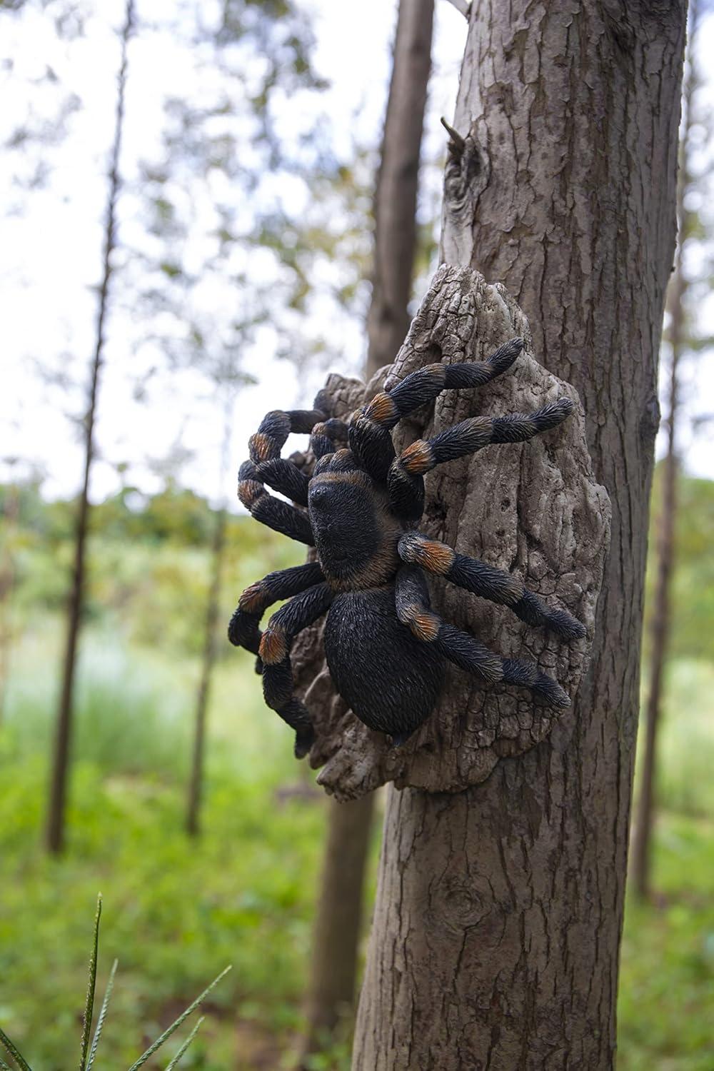 TARANTULA