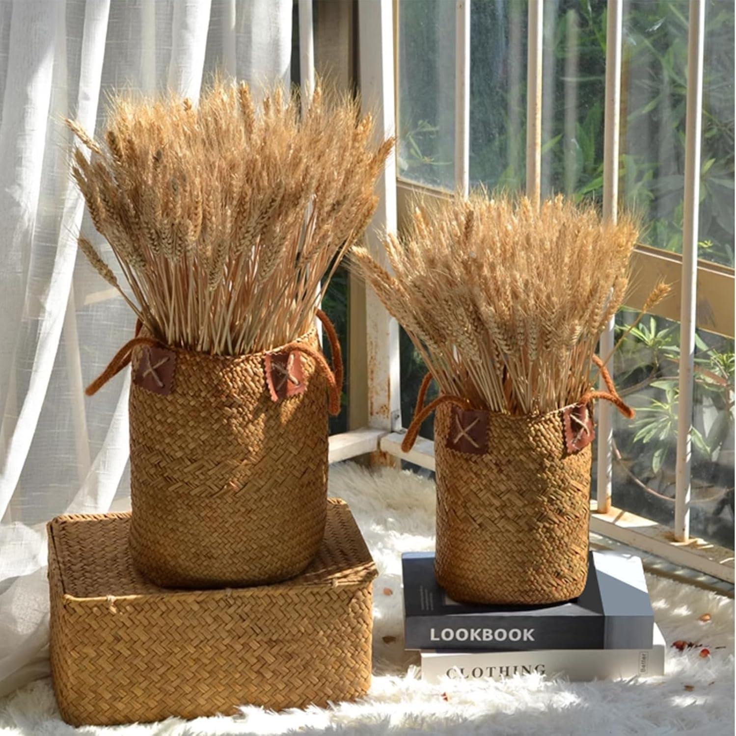 Ophelia & Co. 500PCS Dried Flowers Dried Wheat Stalks for Decor for Home DIY Design Table Centerpieces | Wayfair