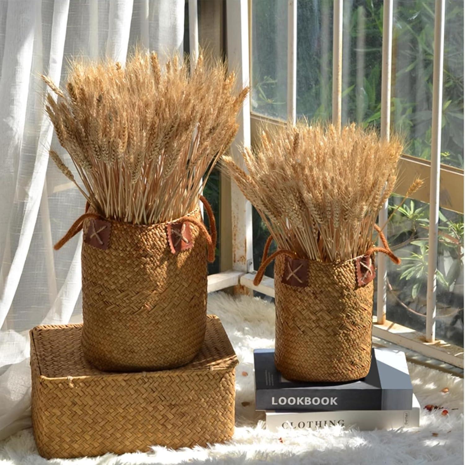 Ophelia & Co. 500PCS Dried Flowers Dried Wheat Stalks for Decor for Home DIY Design Table Centerpieces | Wayfair