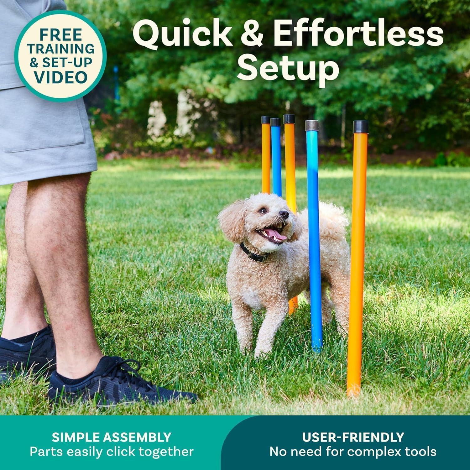 PetCove Blue and Orange Dog Agility Training Set