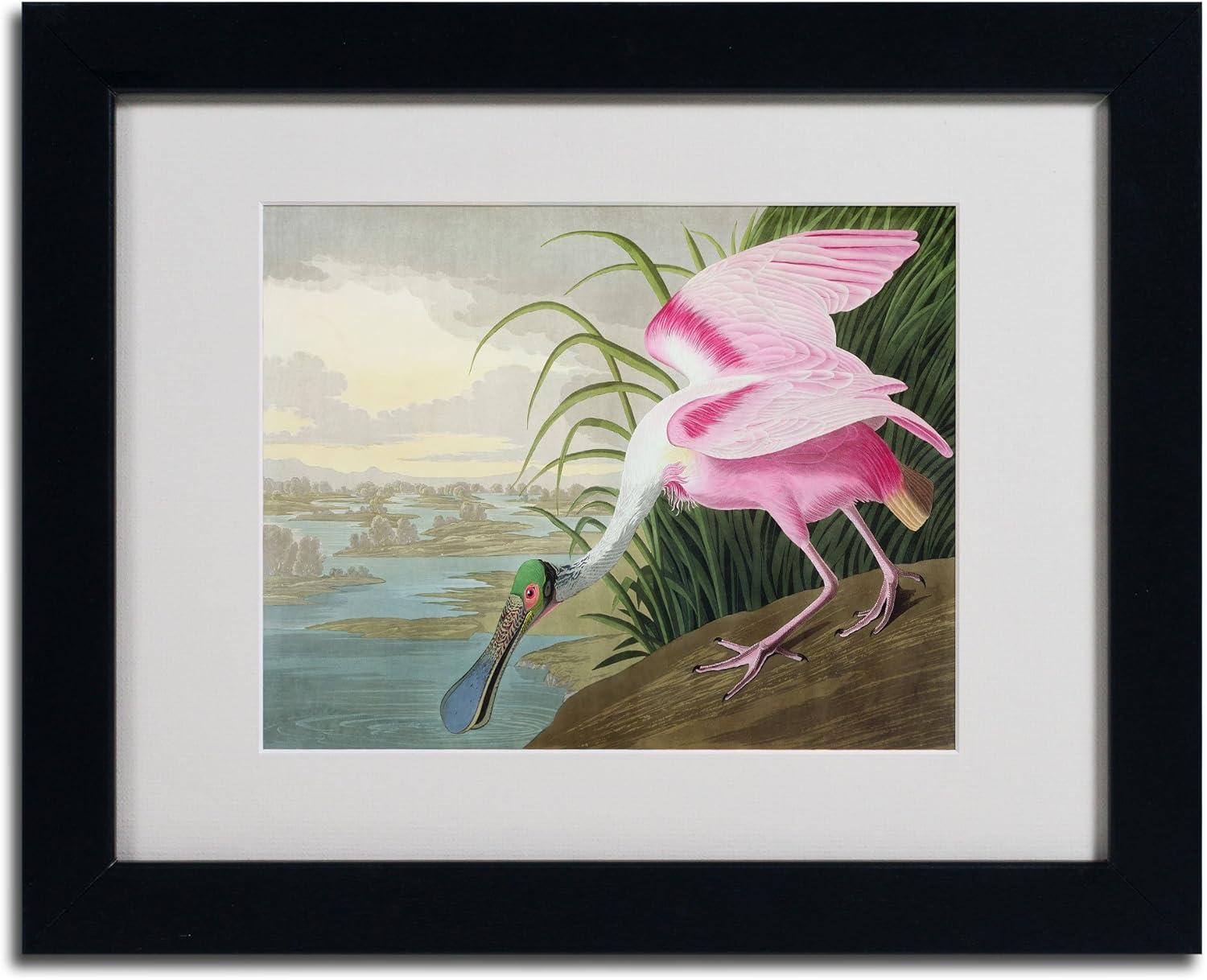 "Roseate Spoonbill" by John James Audubon Matted Framed Painting Print