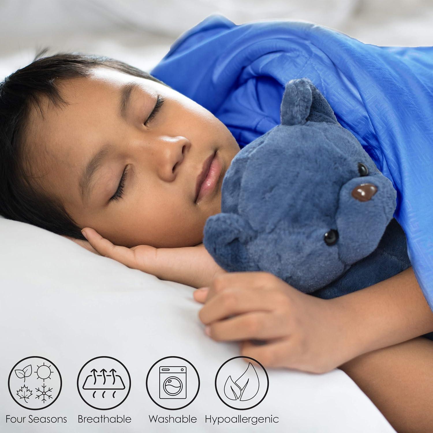 3 Piece Quilt Set- Twin XL Bedding & 2 Pillow Shams-Hypoallergenic Microfiber-Landmarks & Icons of the United States of America by Lavish Homes