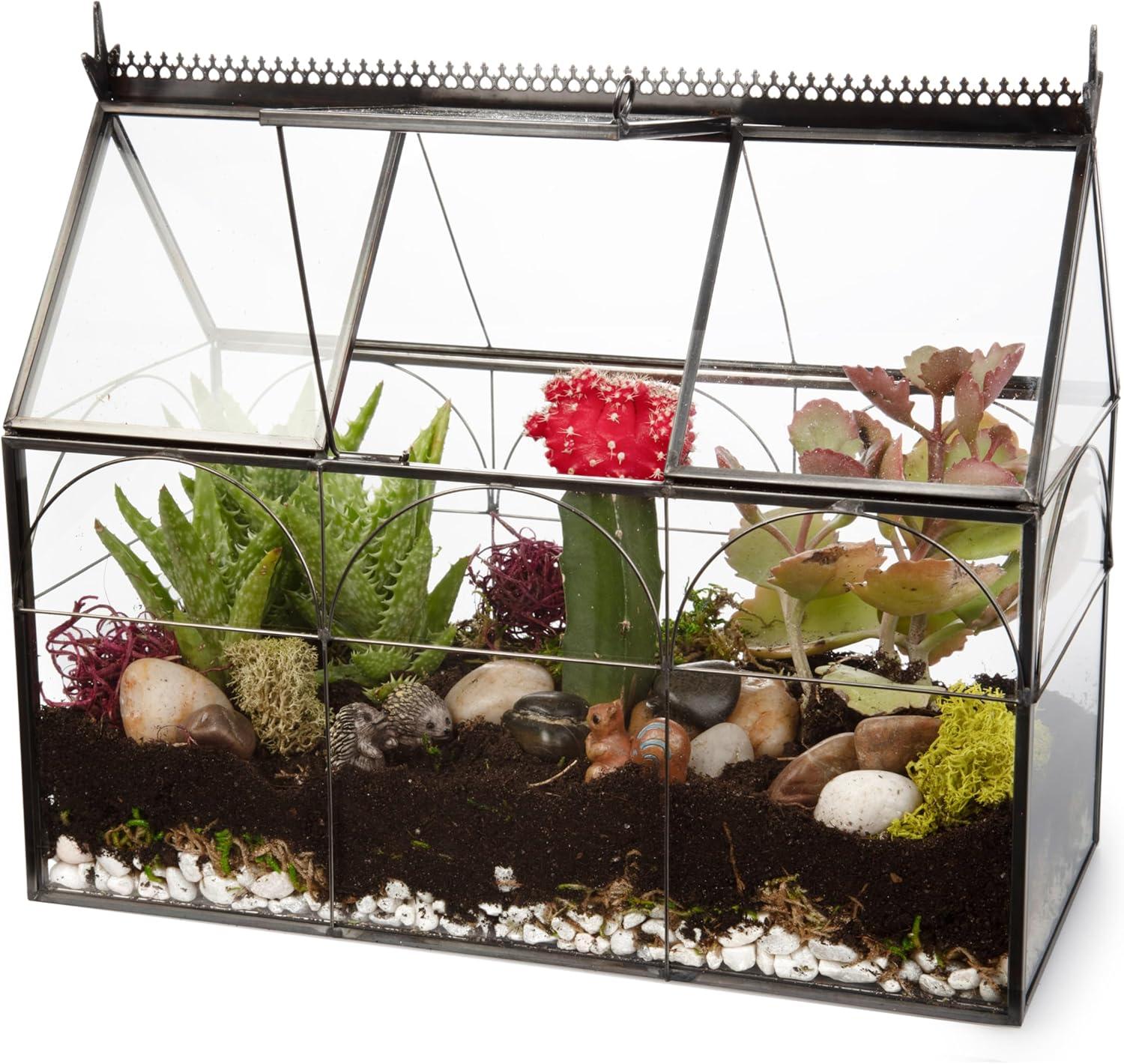 D'Eco Glass Greenhouse Plant Terrarium (10x4.5x9) - Indoor Tabletop Black Hinged Geometric Planter Holiday Decor - Christmas Gift for Plant Lovers