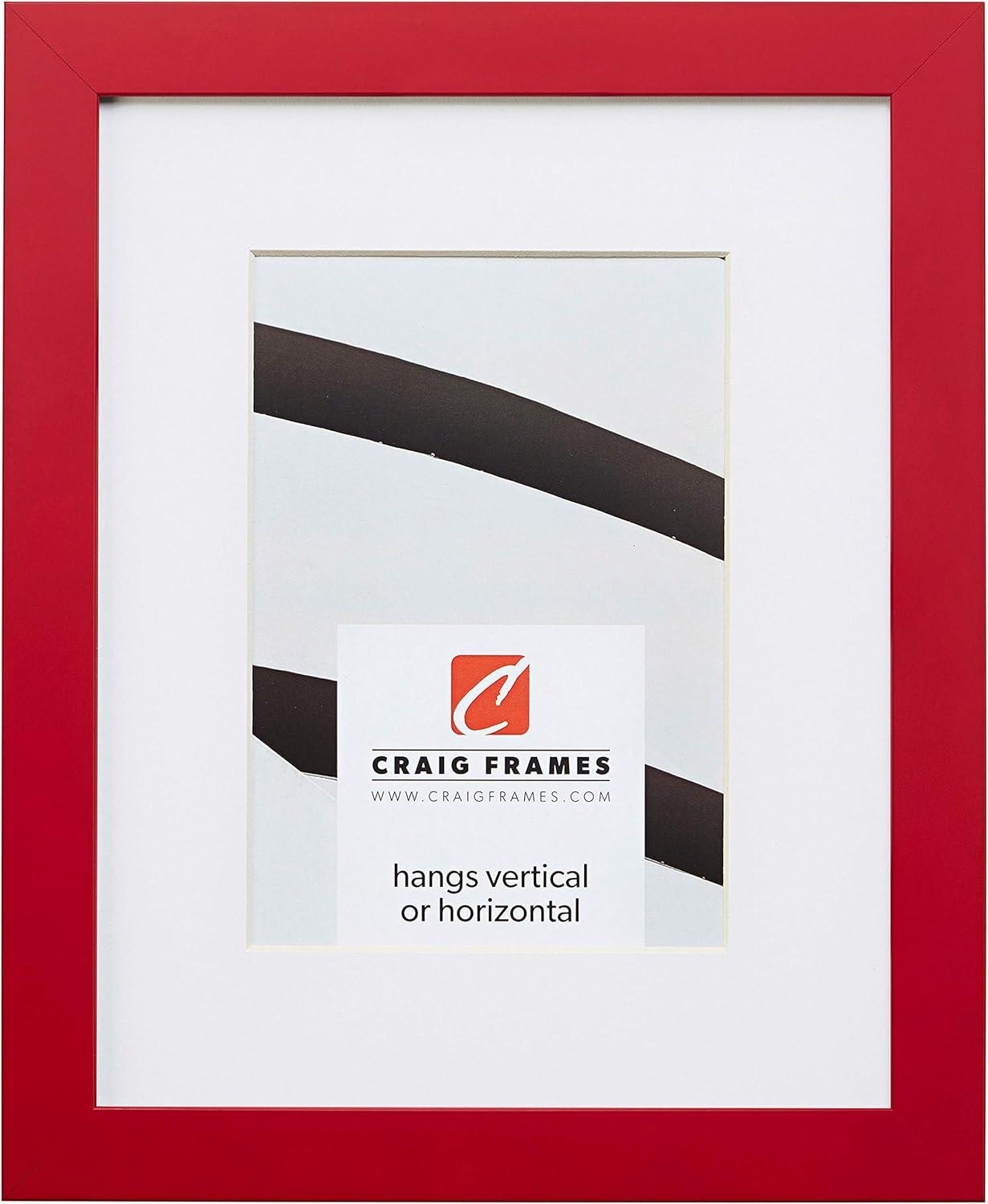 Craig Frames Confetti, 20x24 inch Modern Red Picture Frame Matted for a 16x20 Photo