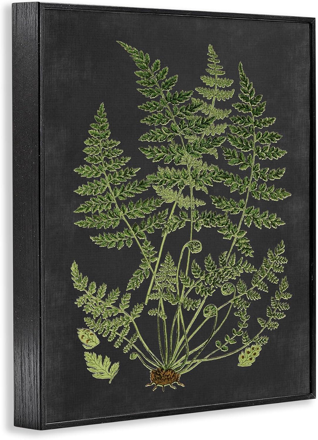 Botanical Green and Black Canvas Print with Ebony Frame