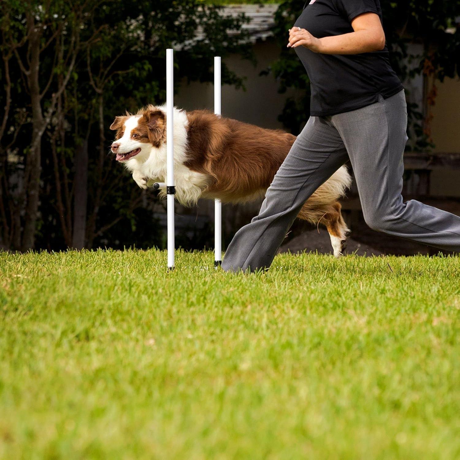 Midlee Dog Agility Bar Jumps- Set of 4 Jumps