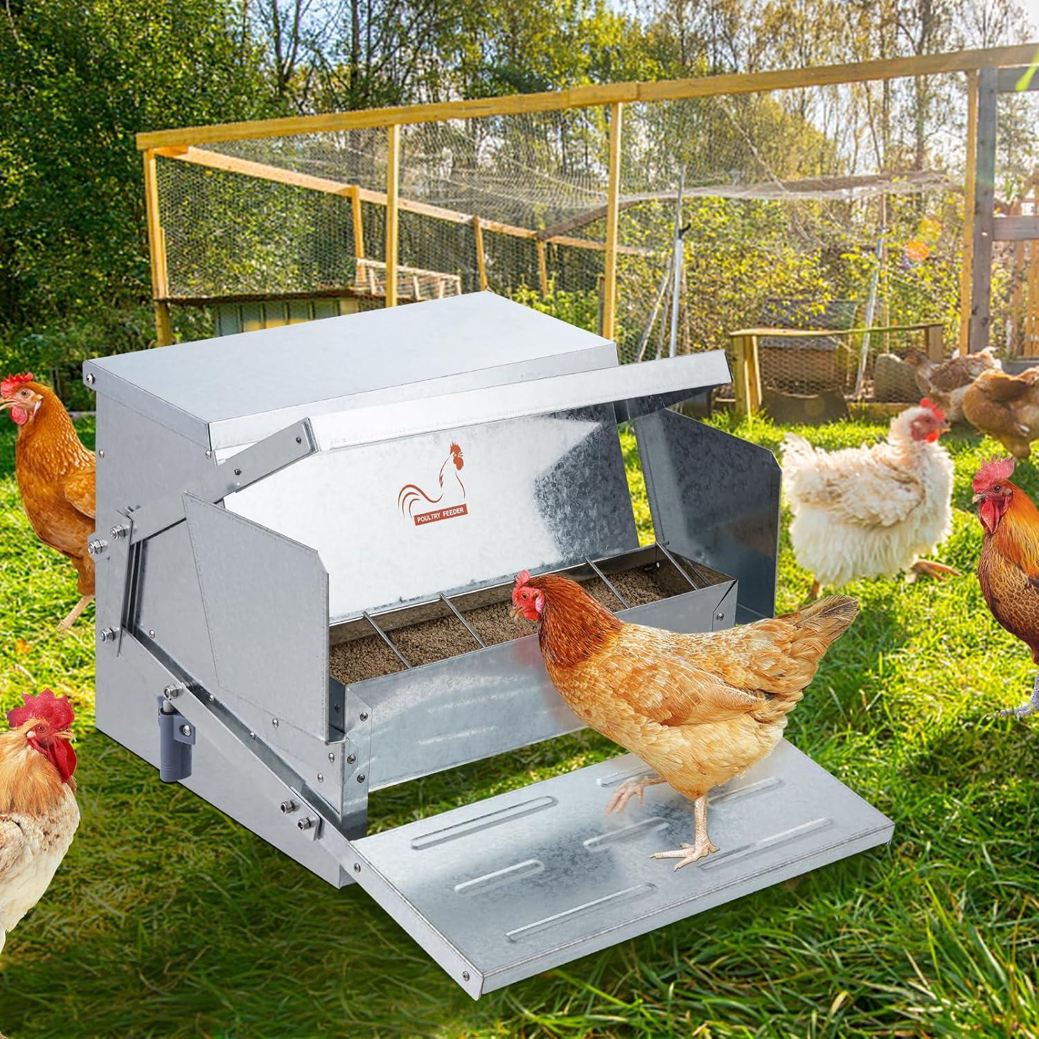 VEVOR Poultry Feeder, 25lbs Capacity, Feed Chicken Feeder with Lid & Lock, Outdoor Coop Food Dispenser, No Waste, Weatherproof Galvanized Metal Feeder for Ducks, Geese