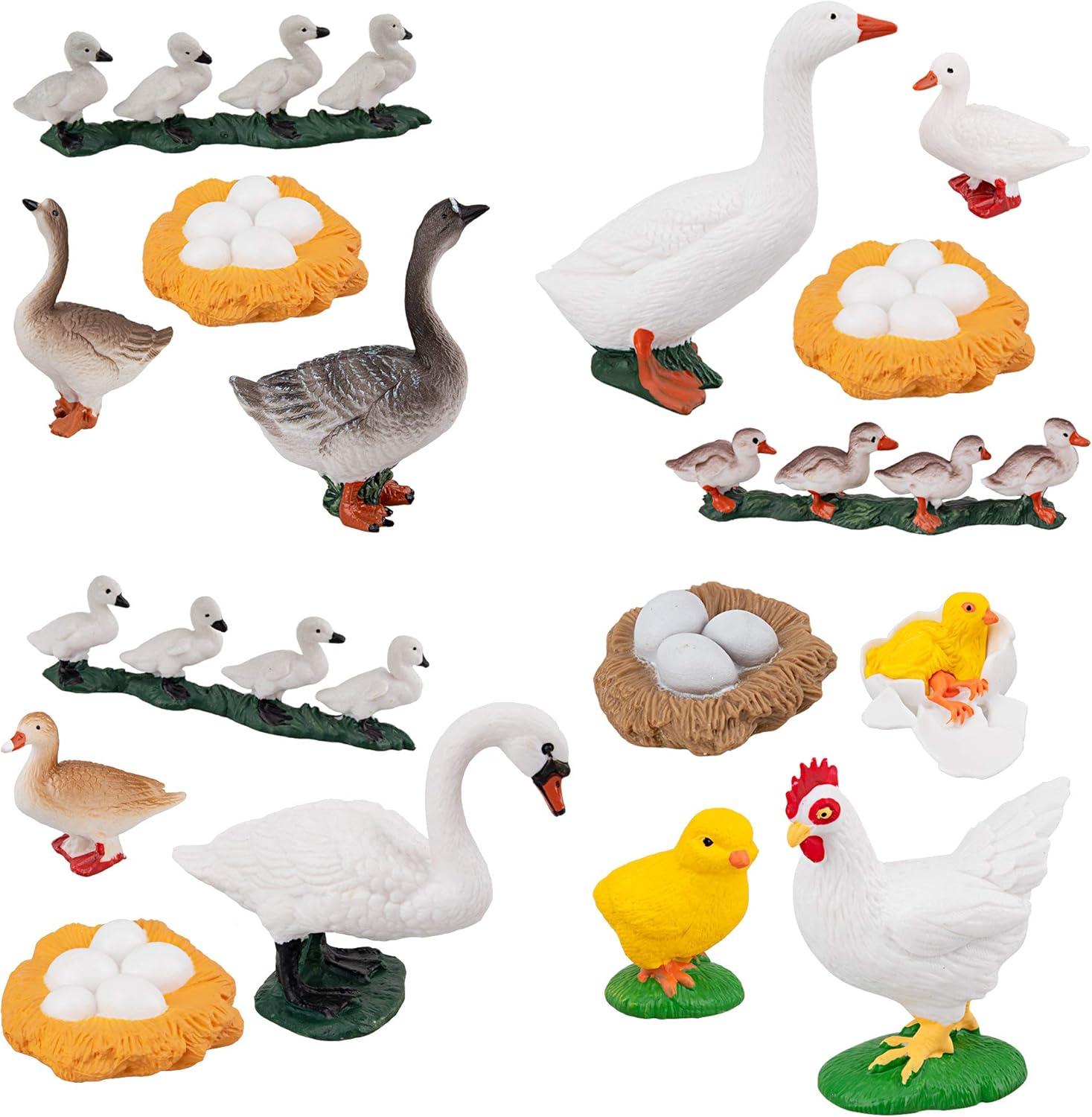 TOYMANY 16PCS Farm Animals Figurines Life Cycle of Chicken Hen Duck Goose White Swan, Plastic Safariology Growth Cycle Eggs Figures Toy Kit School Project Cake Topper for Kids Toddlers